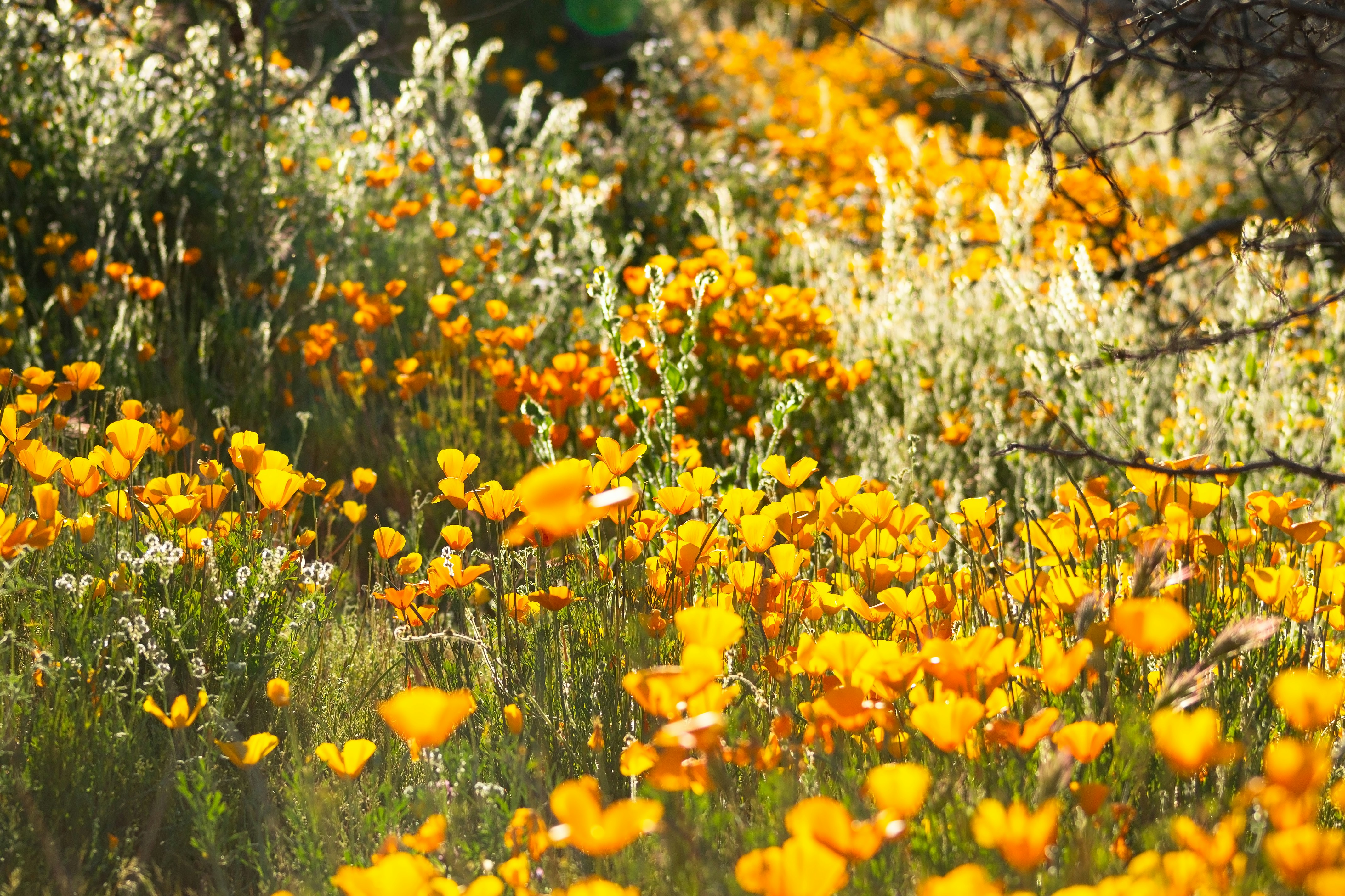 Photo by jordyn_nicolephotography