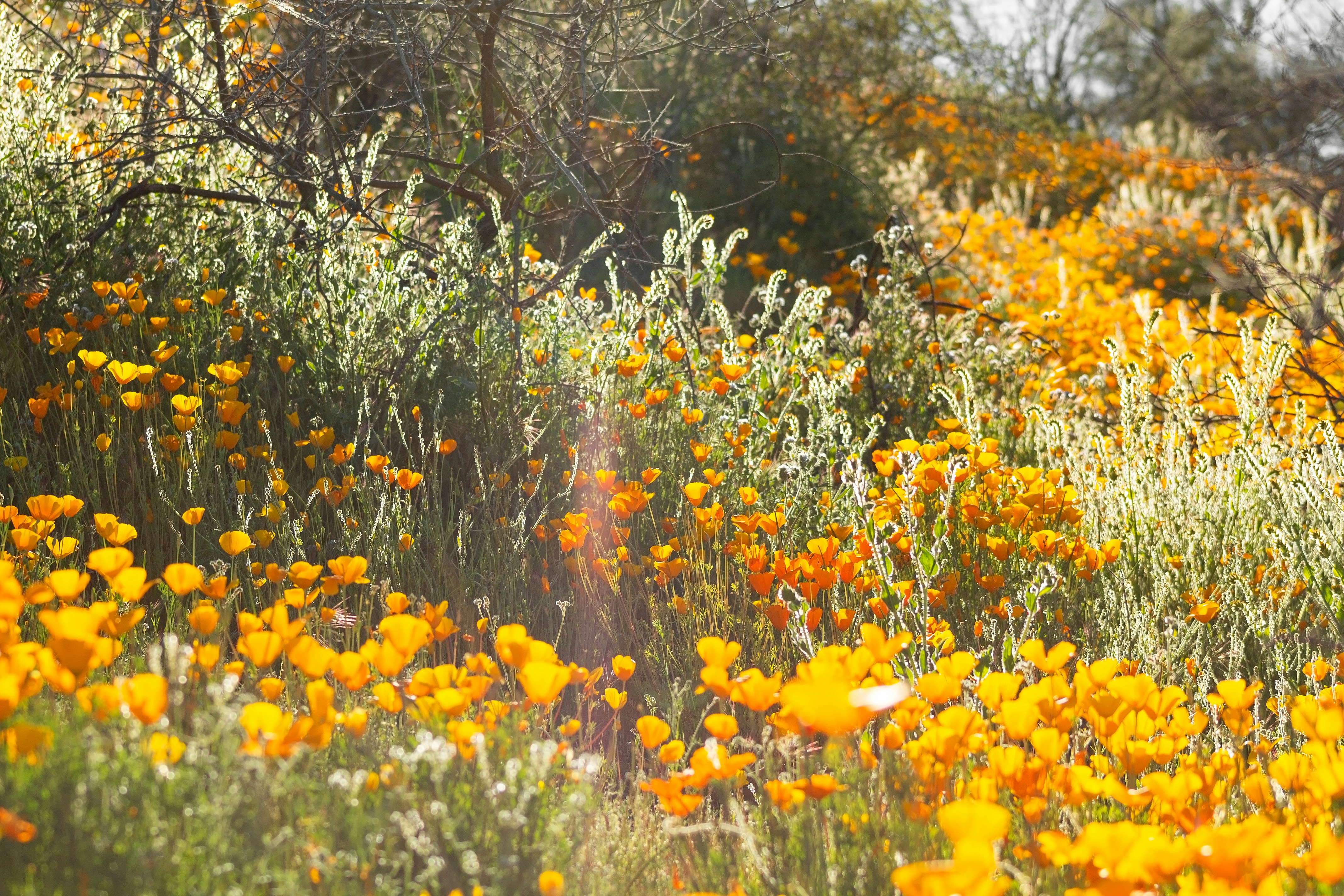 Photo by jordyn_nicolephotography