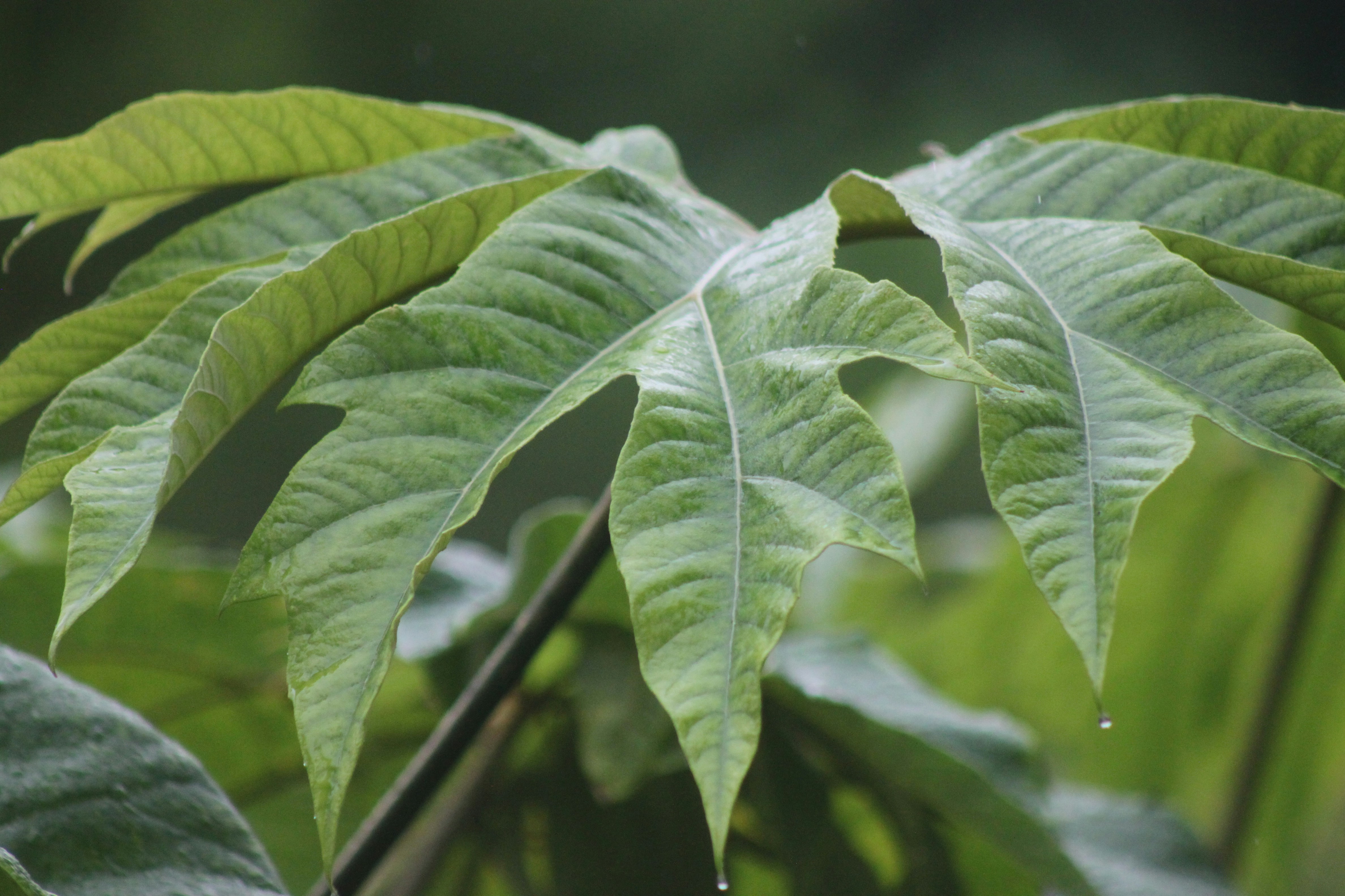 Photo by rubyphotography