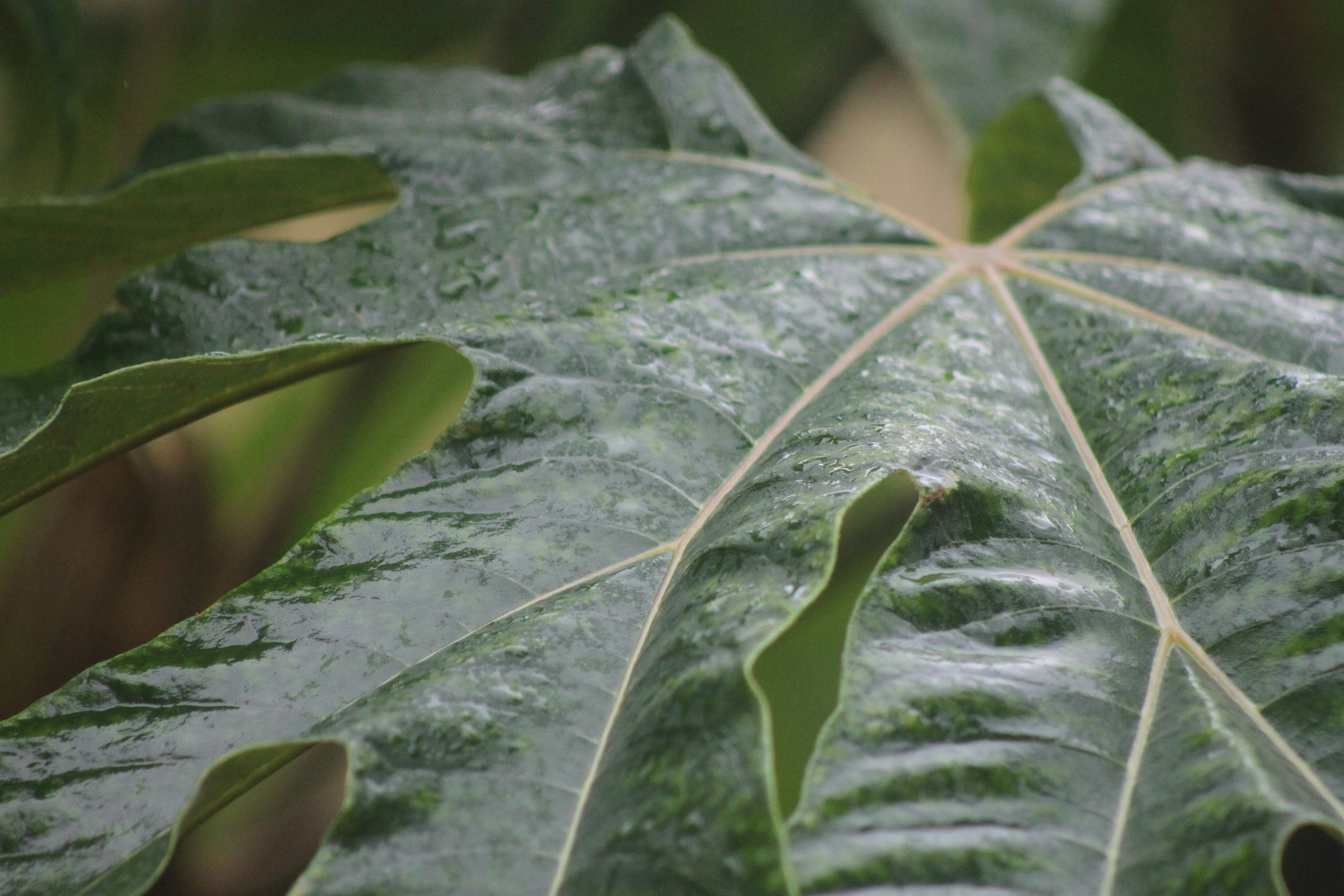 Photo by rubyphotography