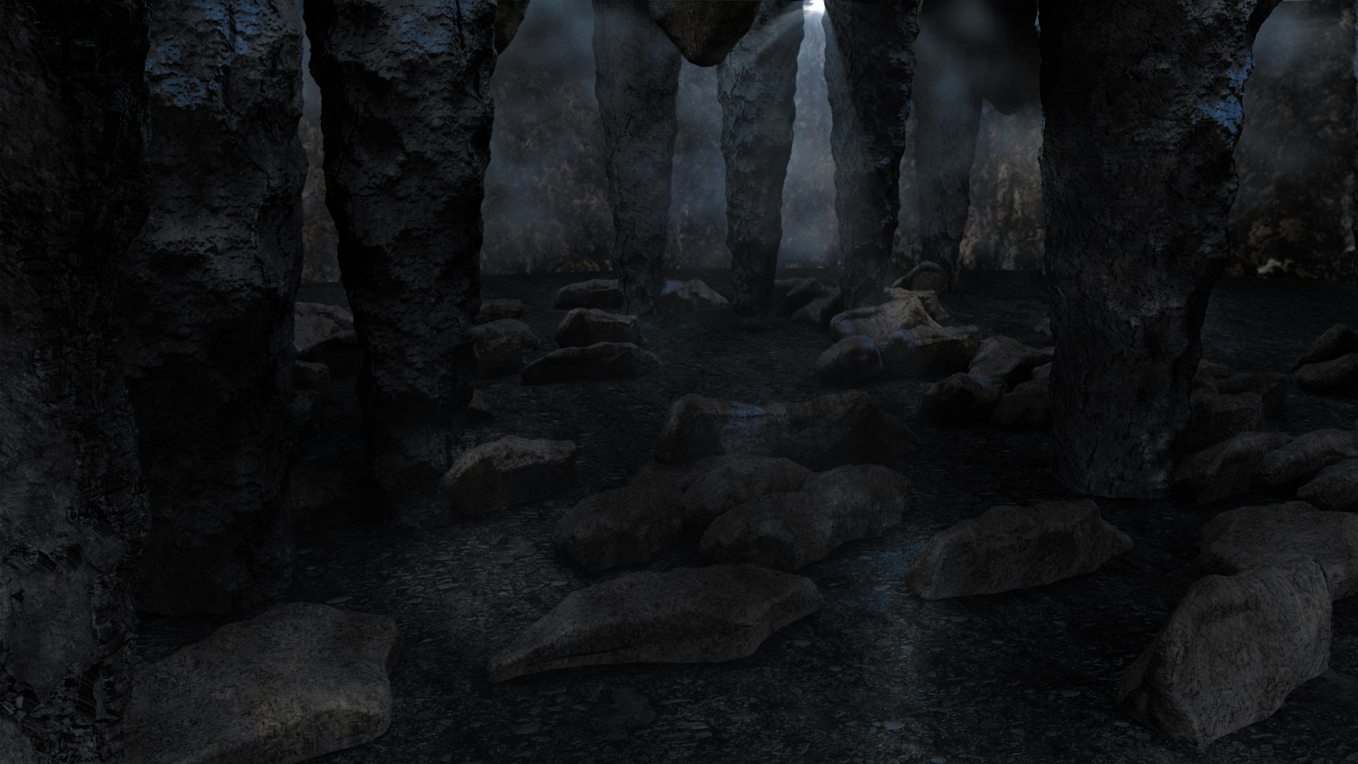 A dark forest filled with lots of trees