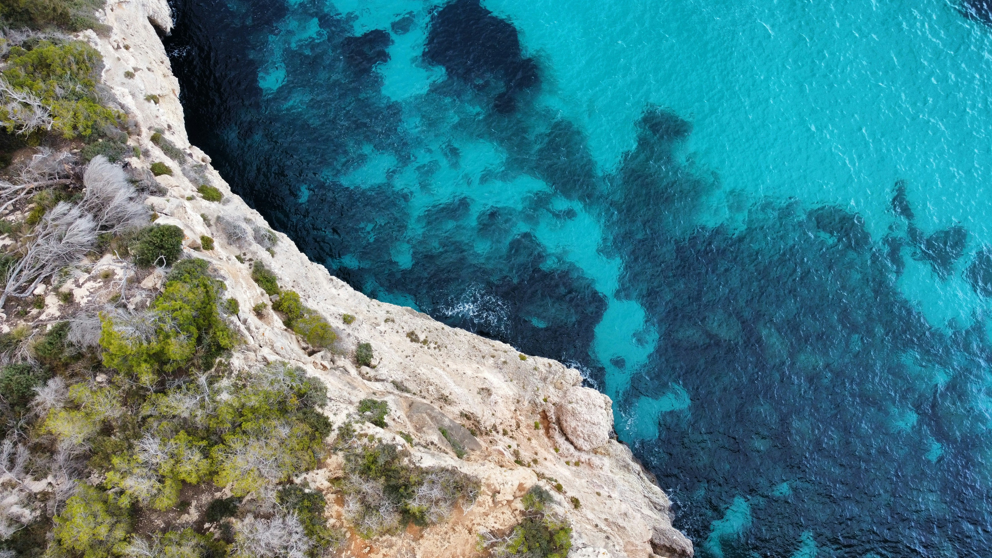 Photo by manchenkoff