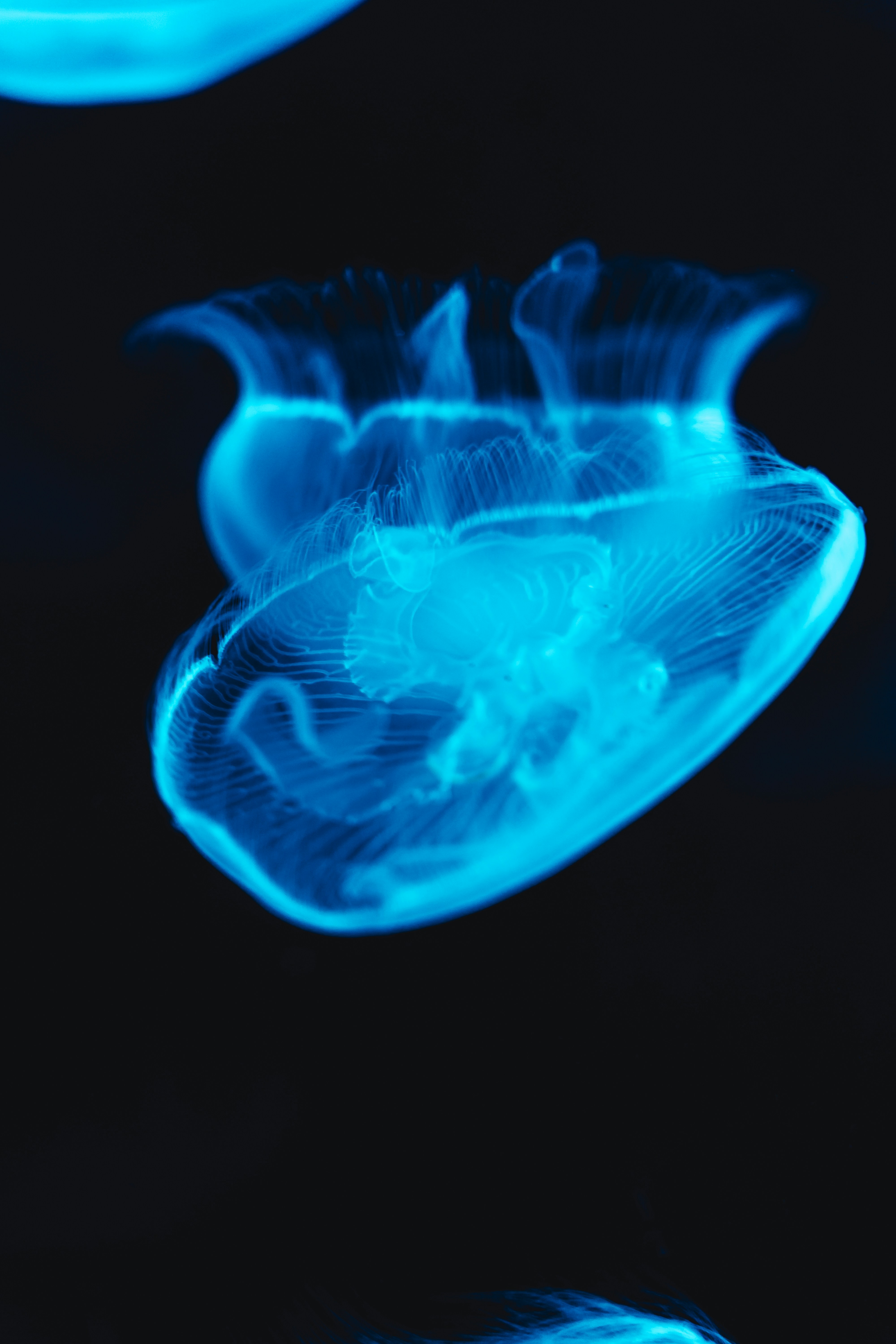 Photo by willianjusten