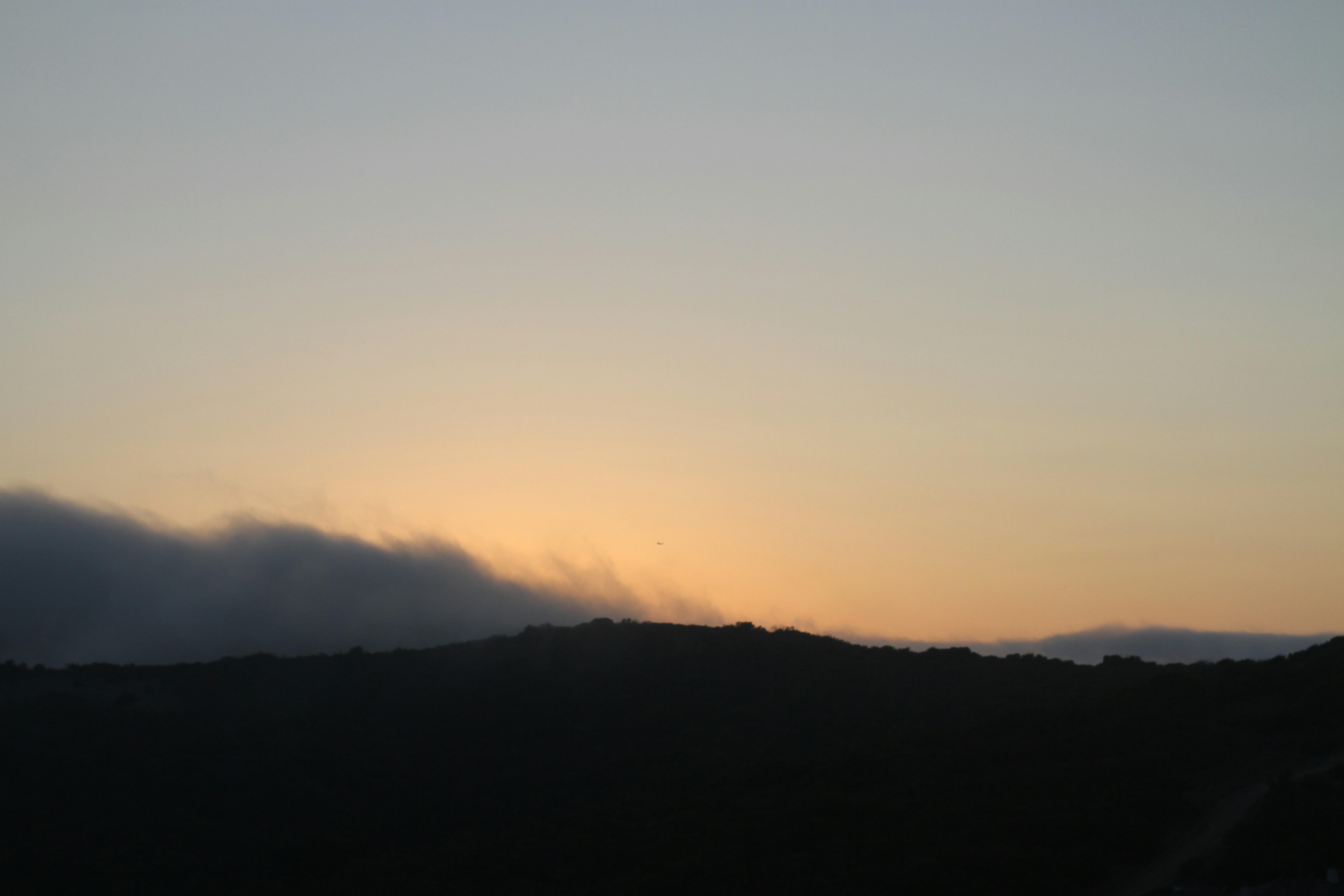 Photo by evelynmoore