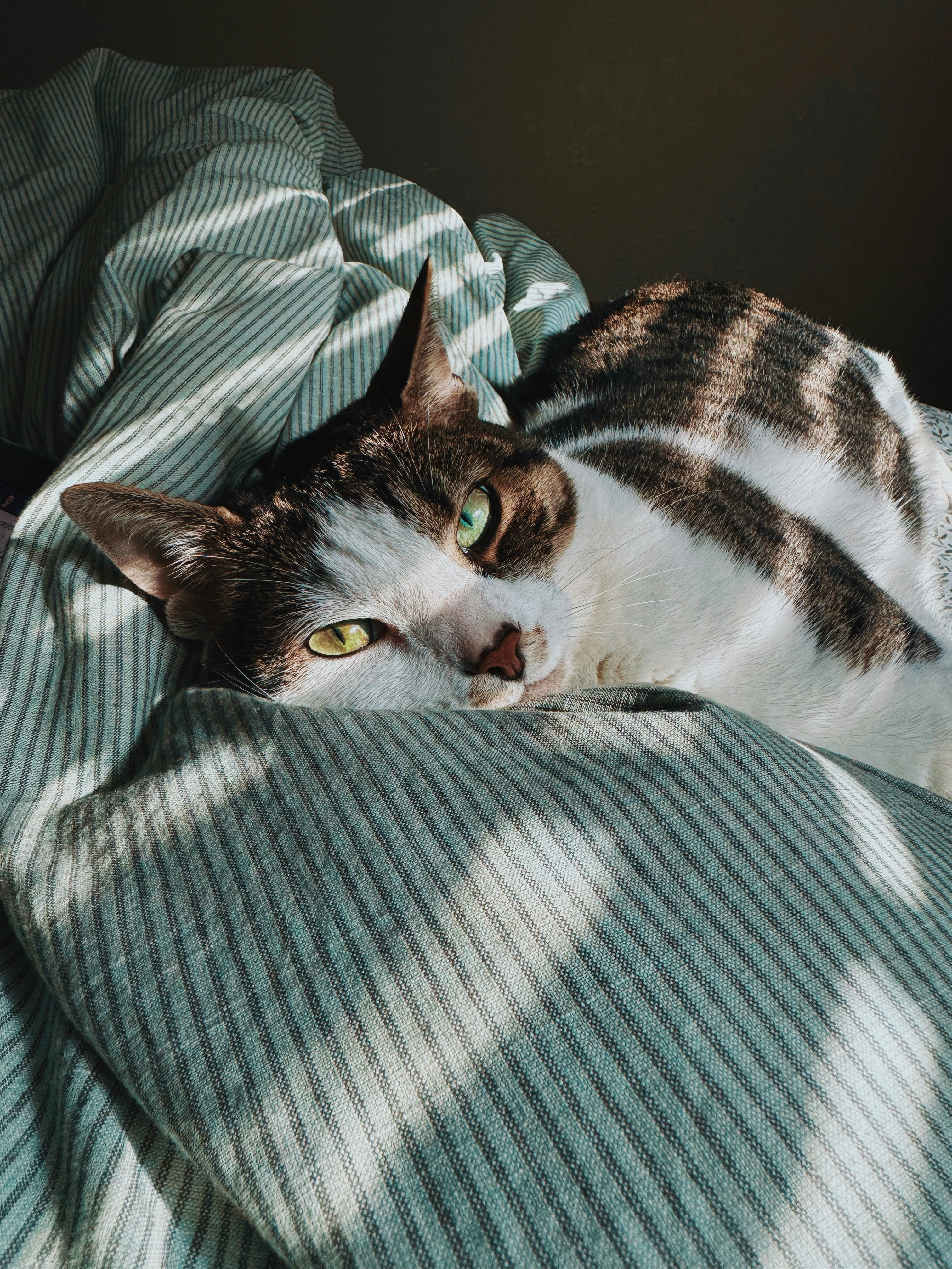 Photo by stillbrooke