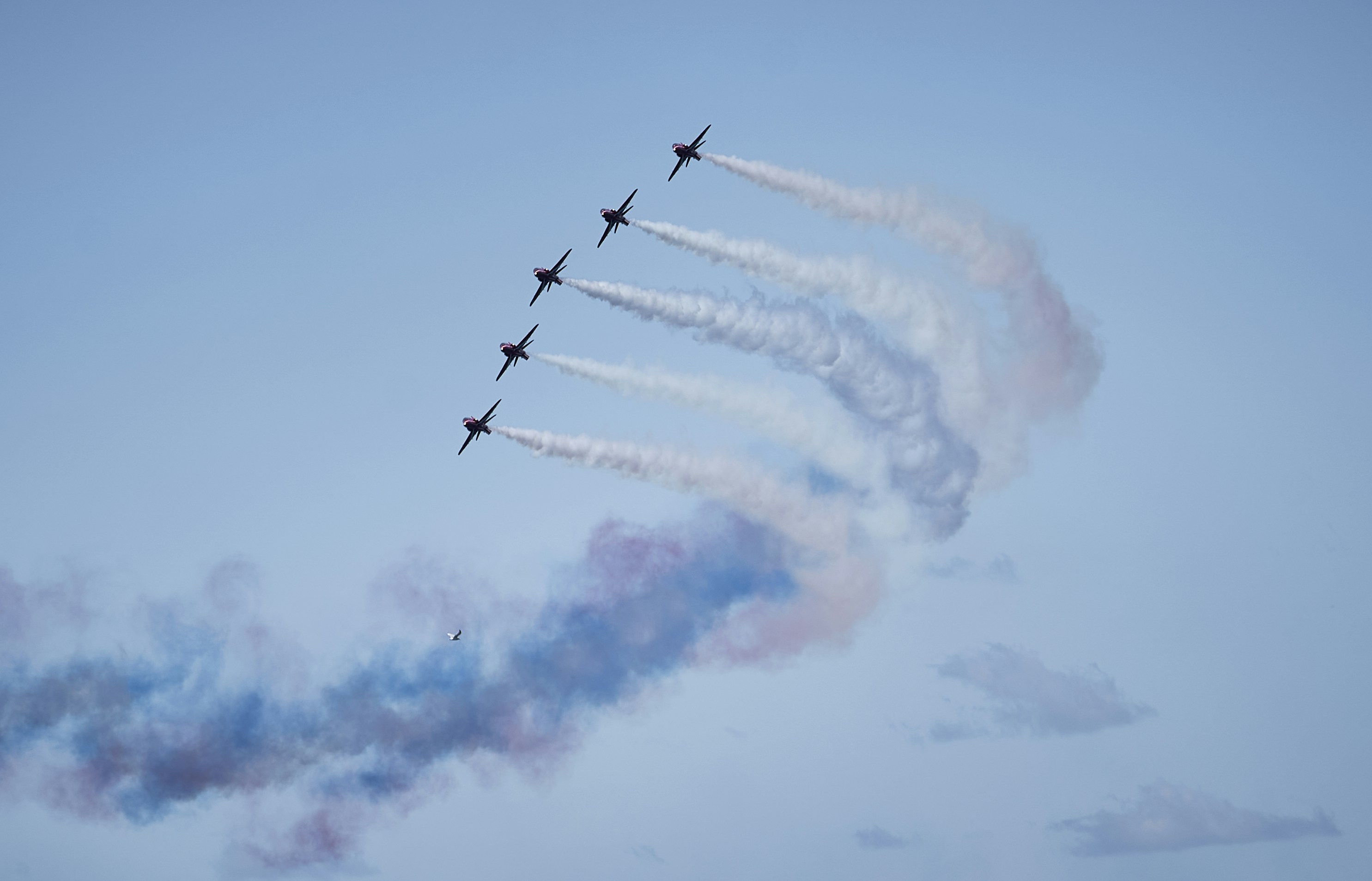 Photo by suicide_chewbacca