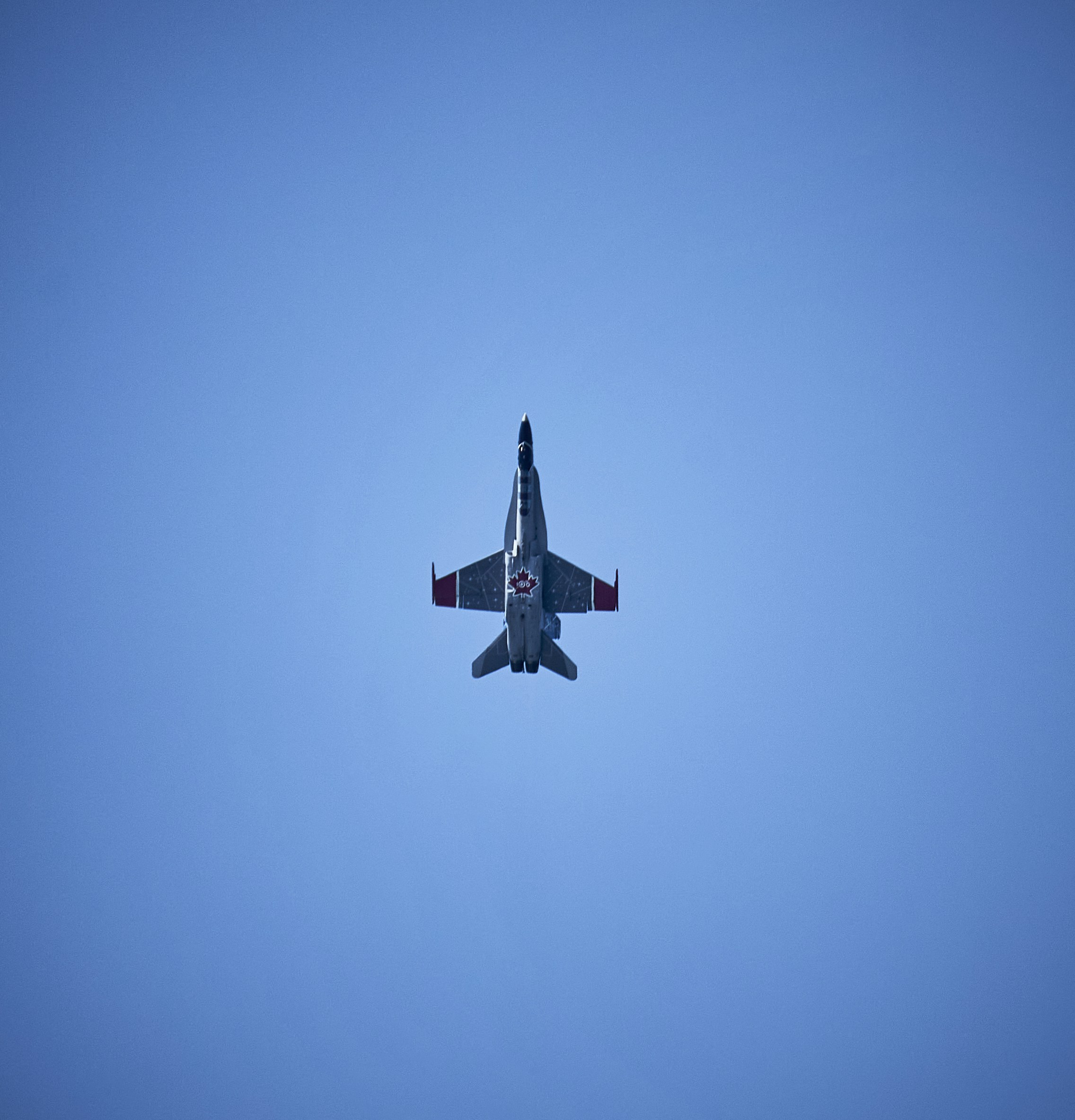 Photo by suicide_chewbacca