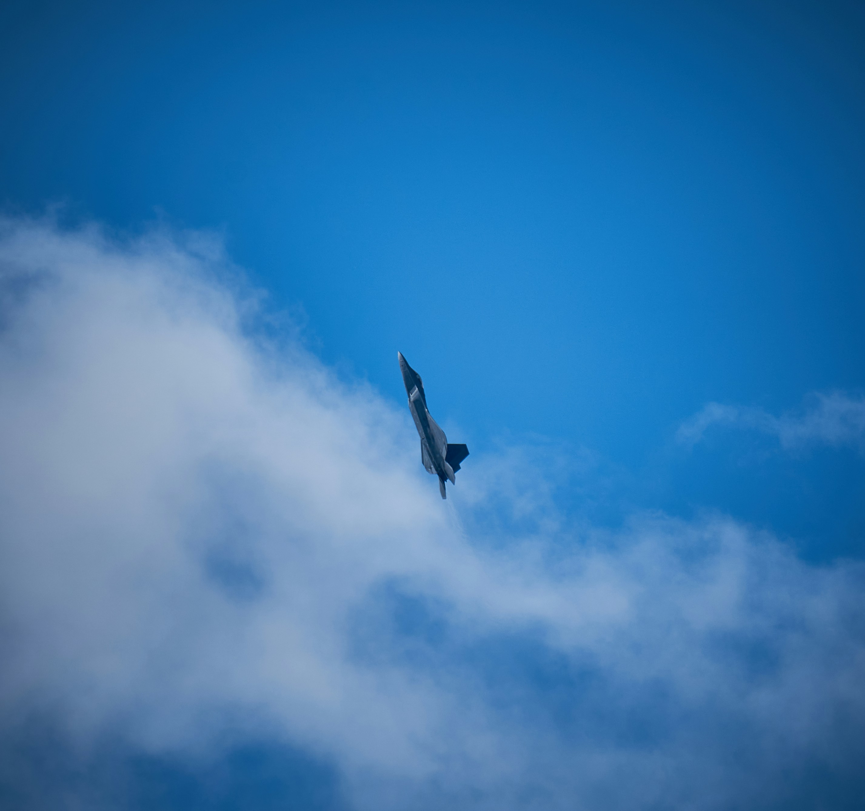 Photo by suicide_chewbacca