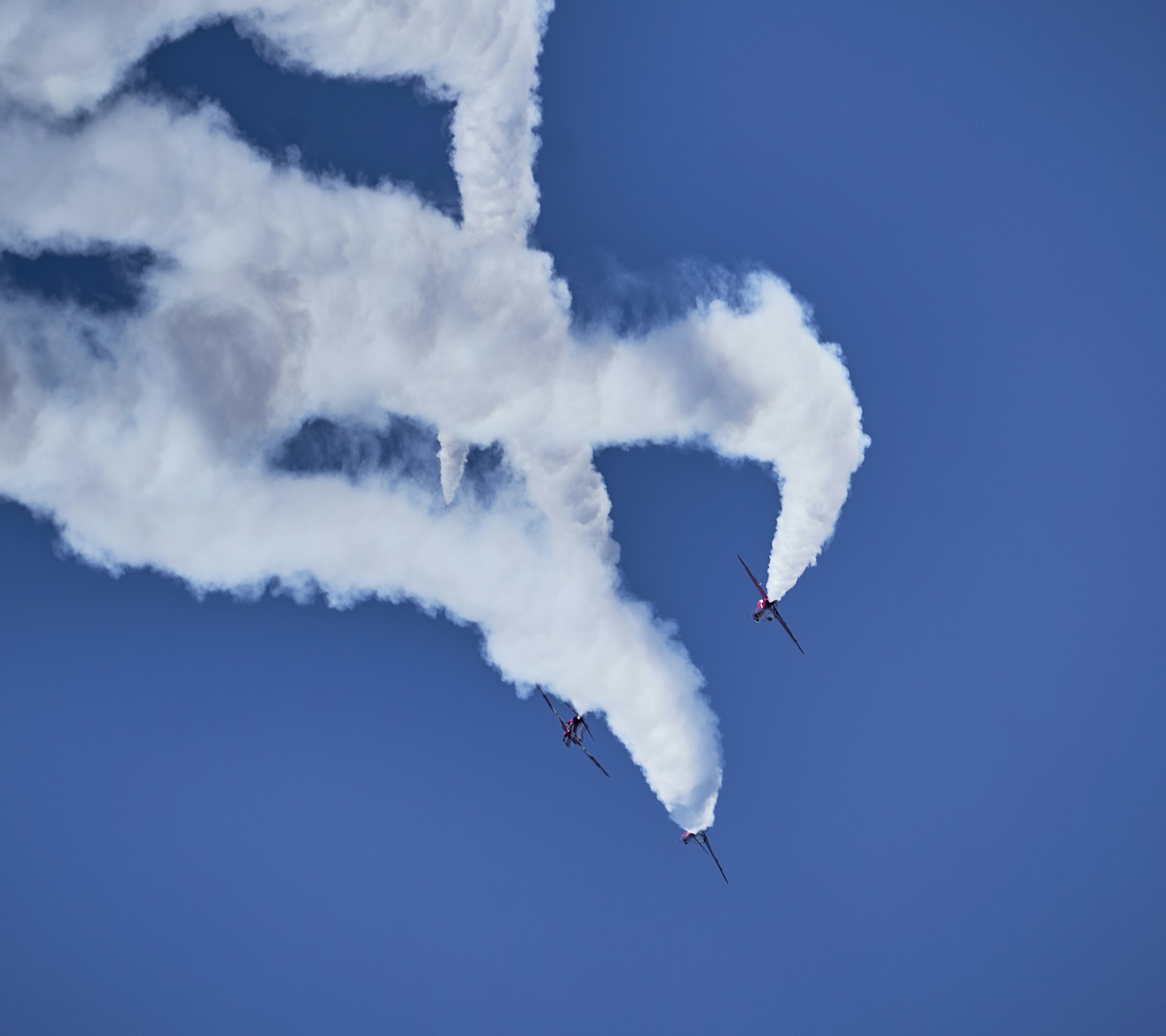 Photo by suicide_chewbacca