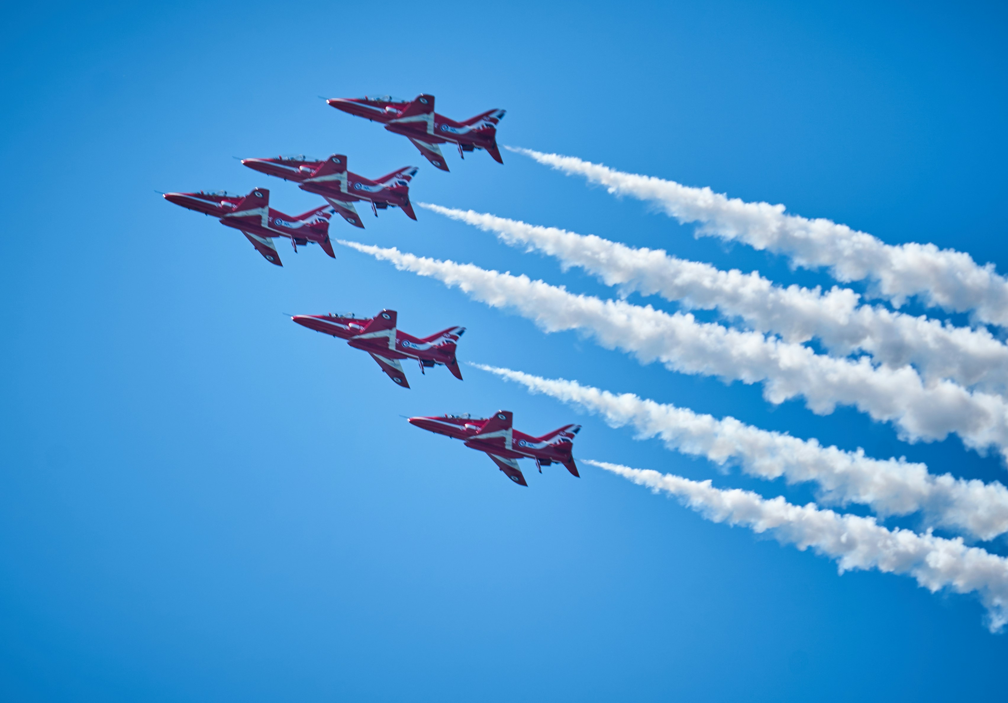 Photo by suicide_chewbacca