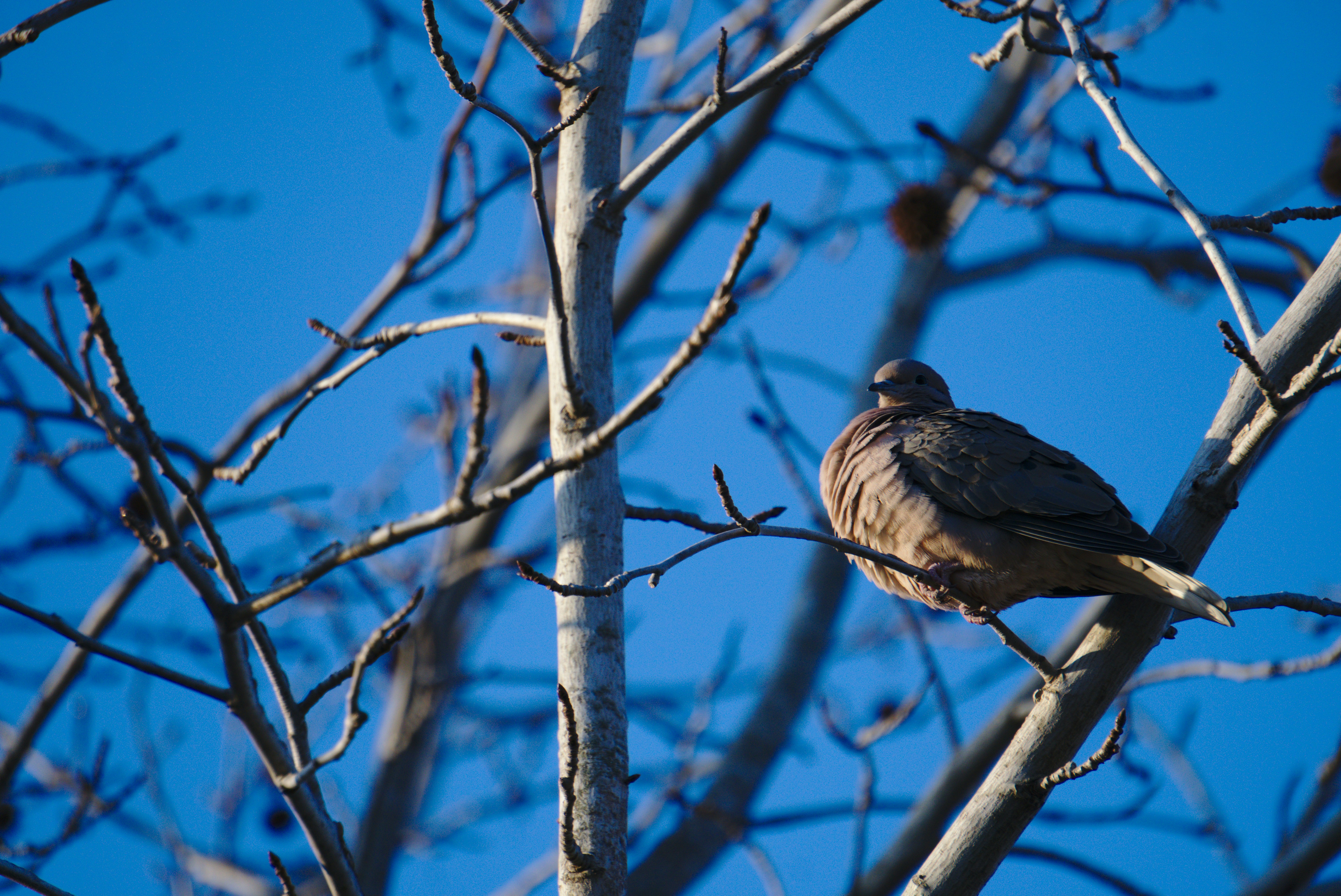 Photo by thebiblelover