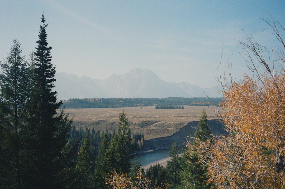 A river bend, trees and distant mountains in the Jackson area of Wyoming