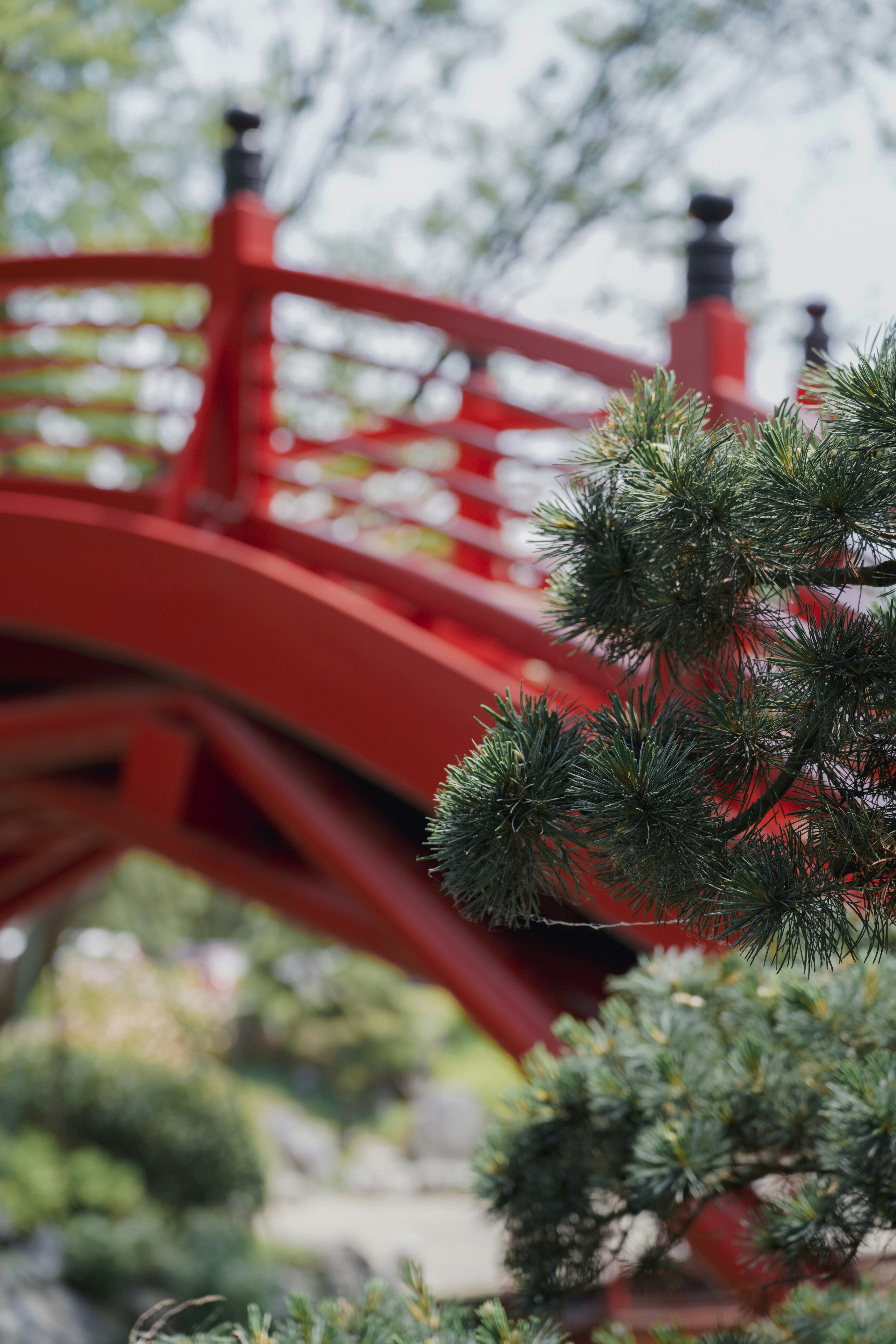 A red bridge over a pond in a park