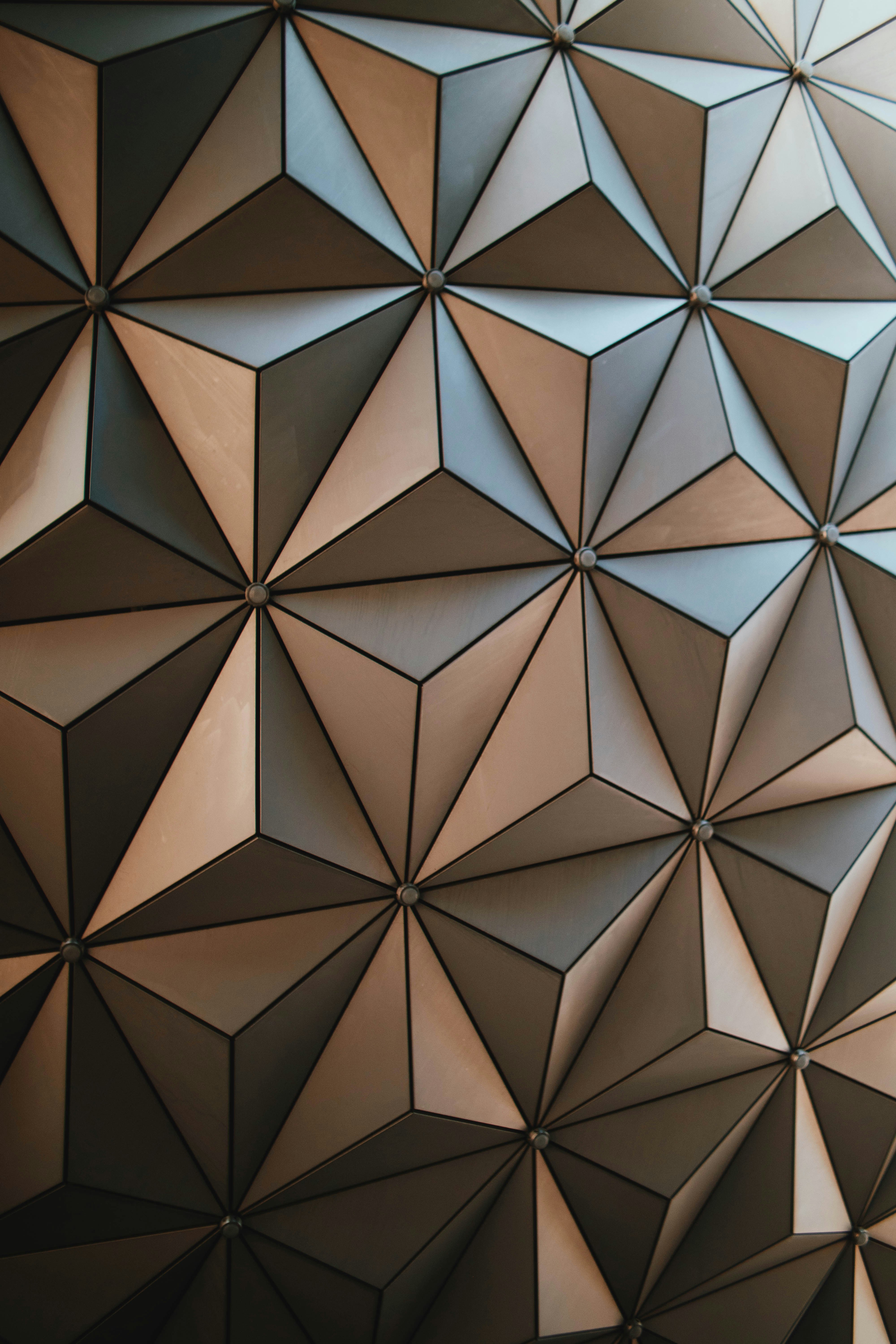 Photo by michaeljfali