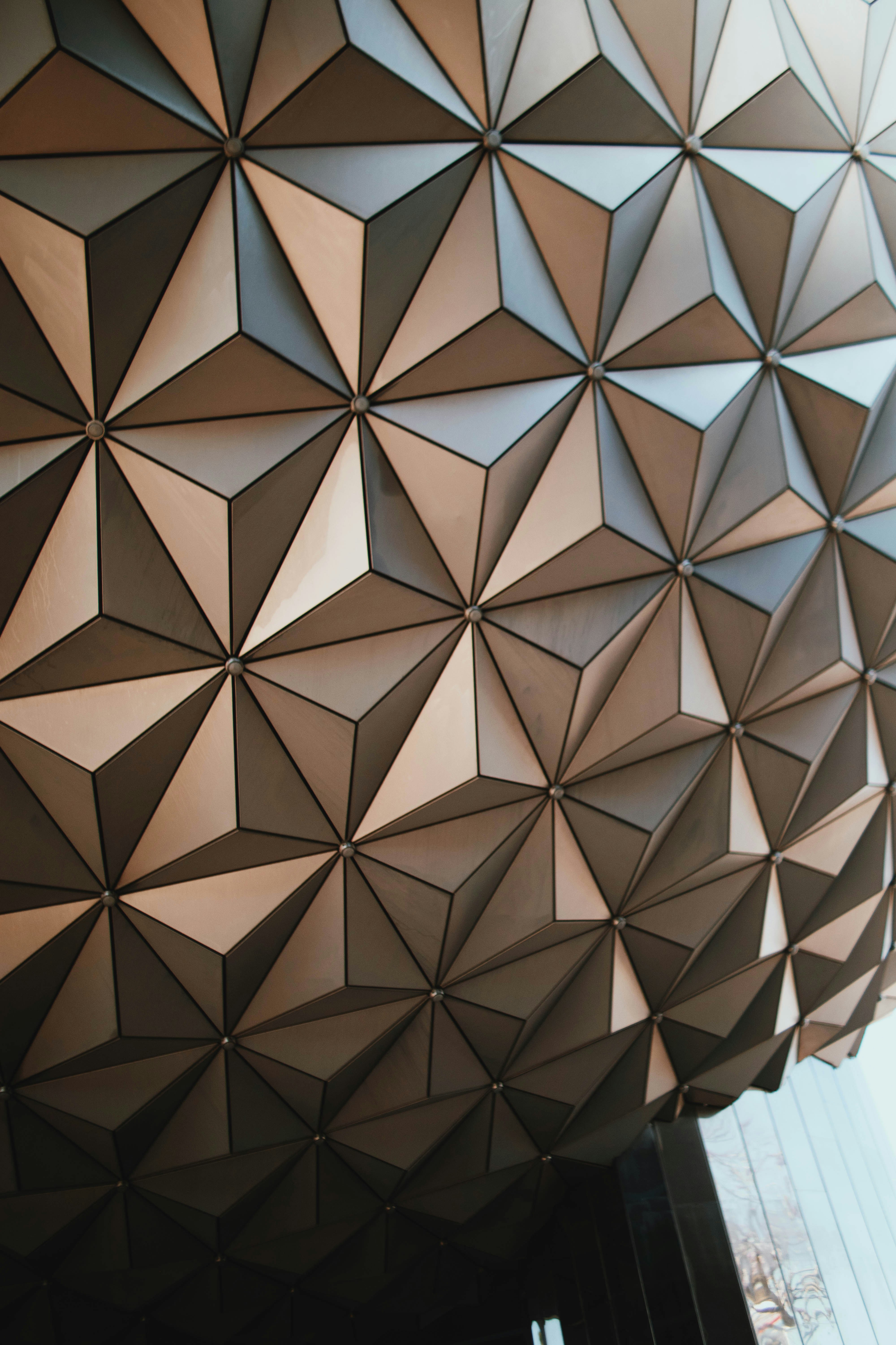 Photo by michaeljfali