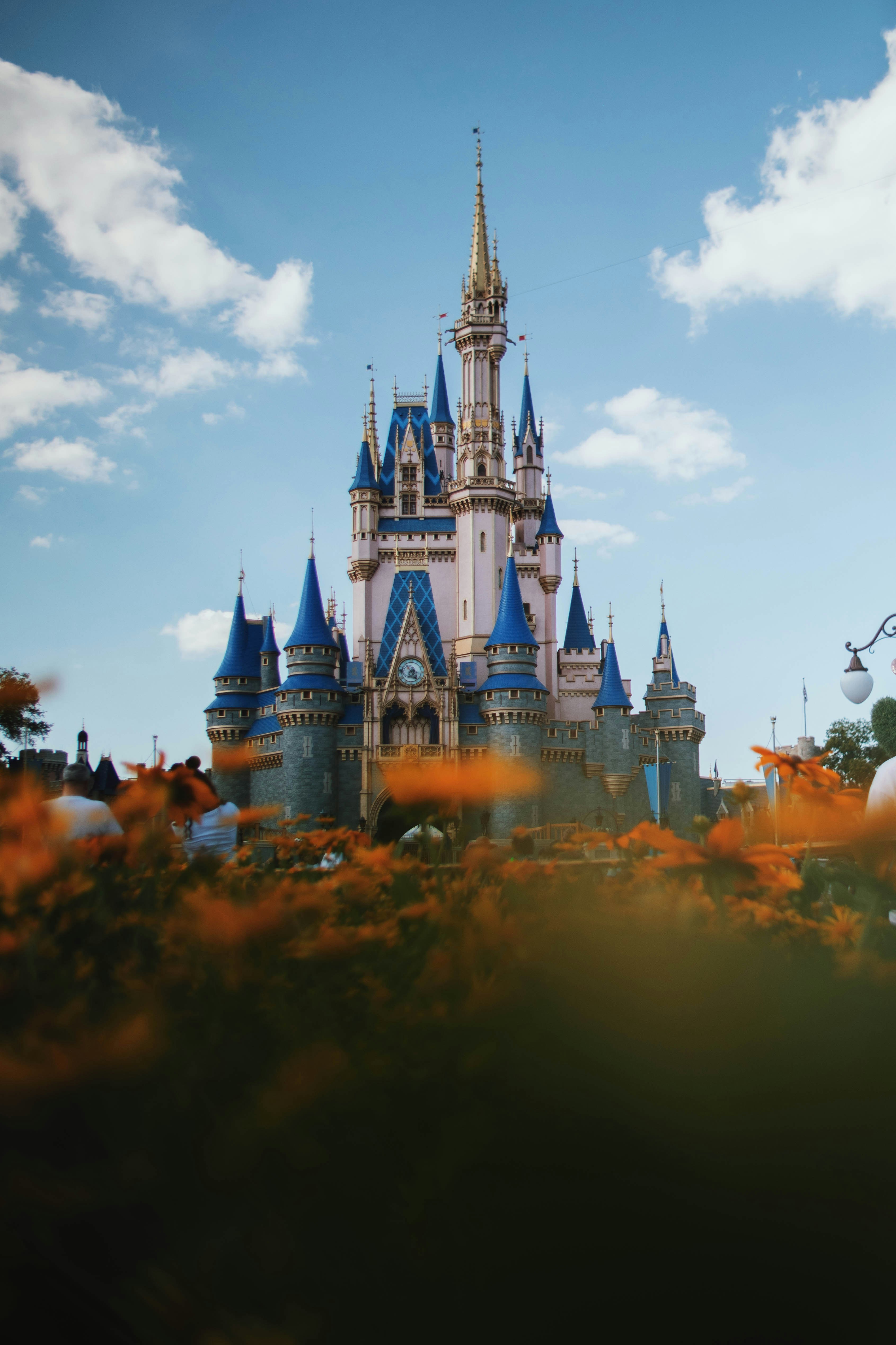 Photo by michaeljfali