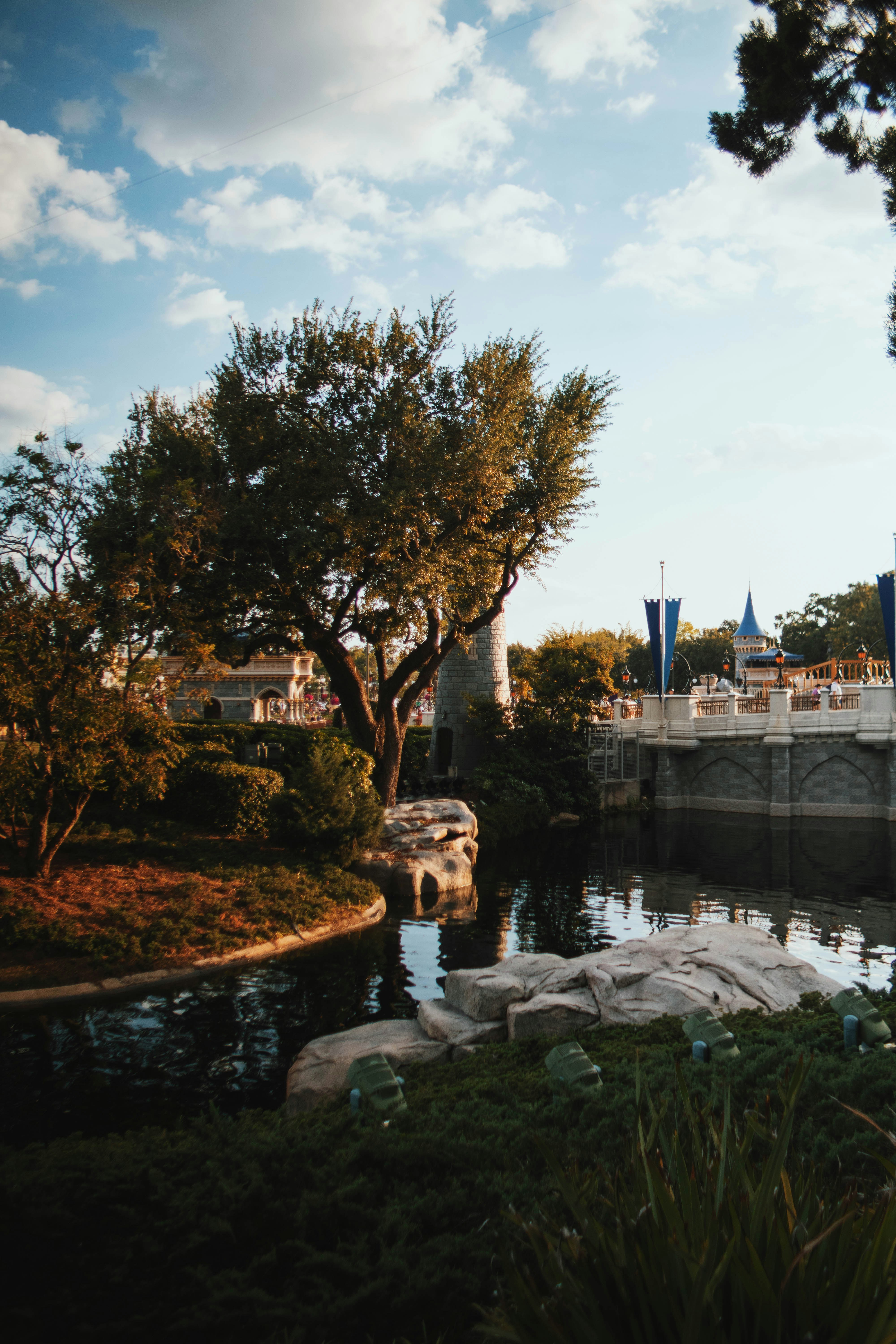 Photo by michaeljfali