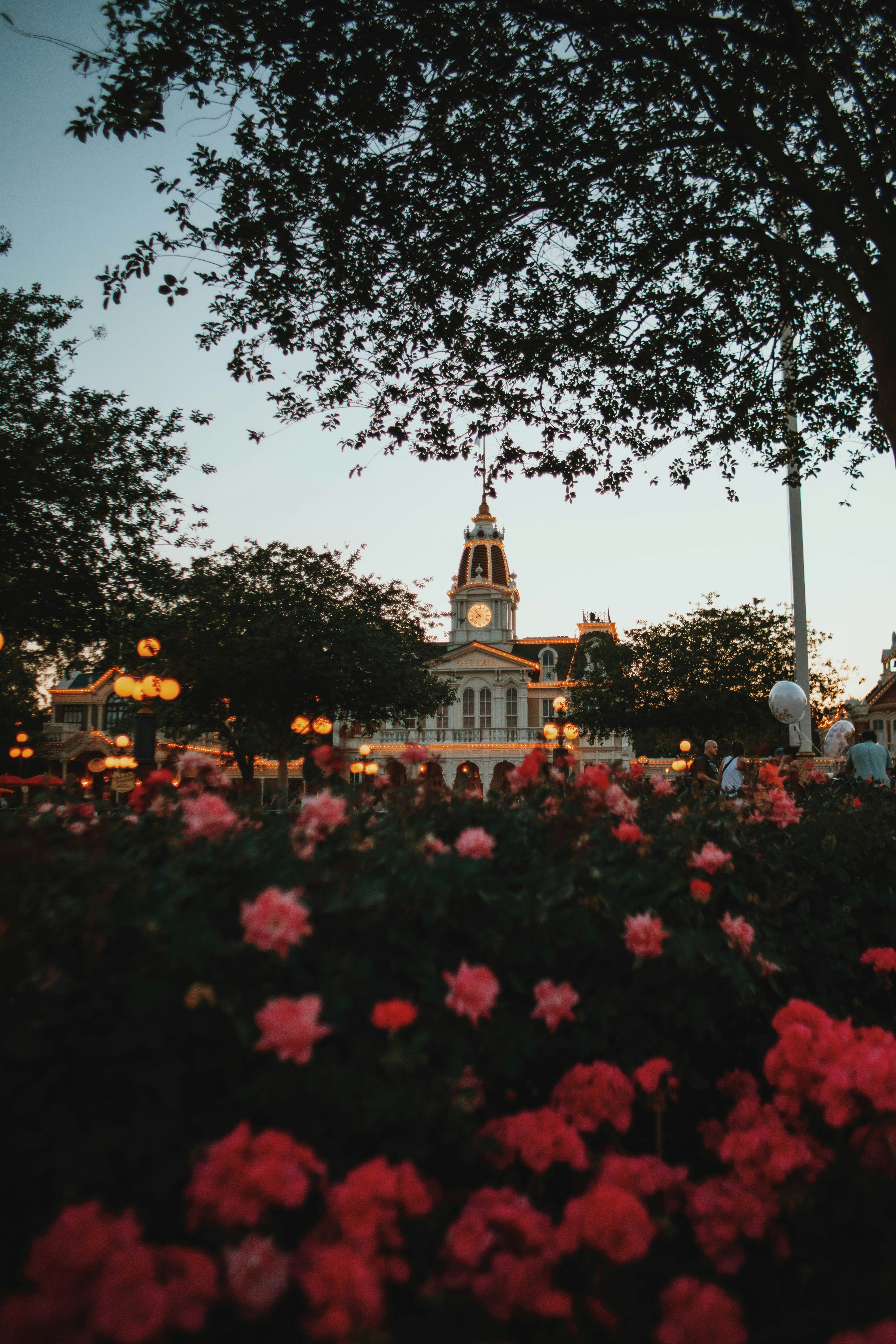 A building with a clock tower in the middle of a field of flowers