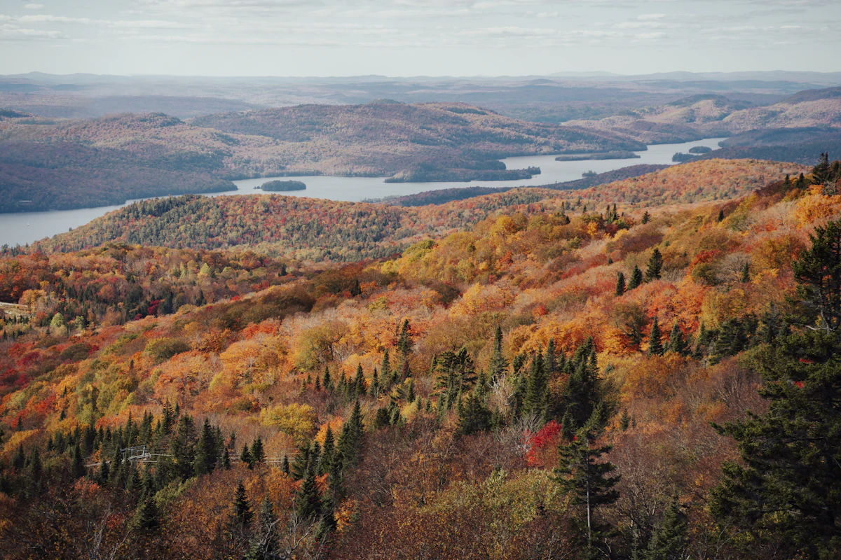 Autumn forest falling away from a high point near Mont-Tremblant toward a long lake