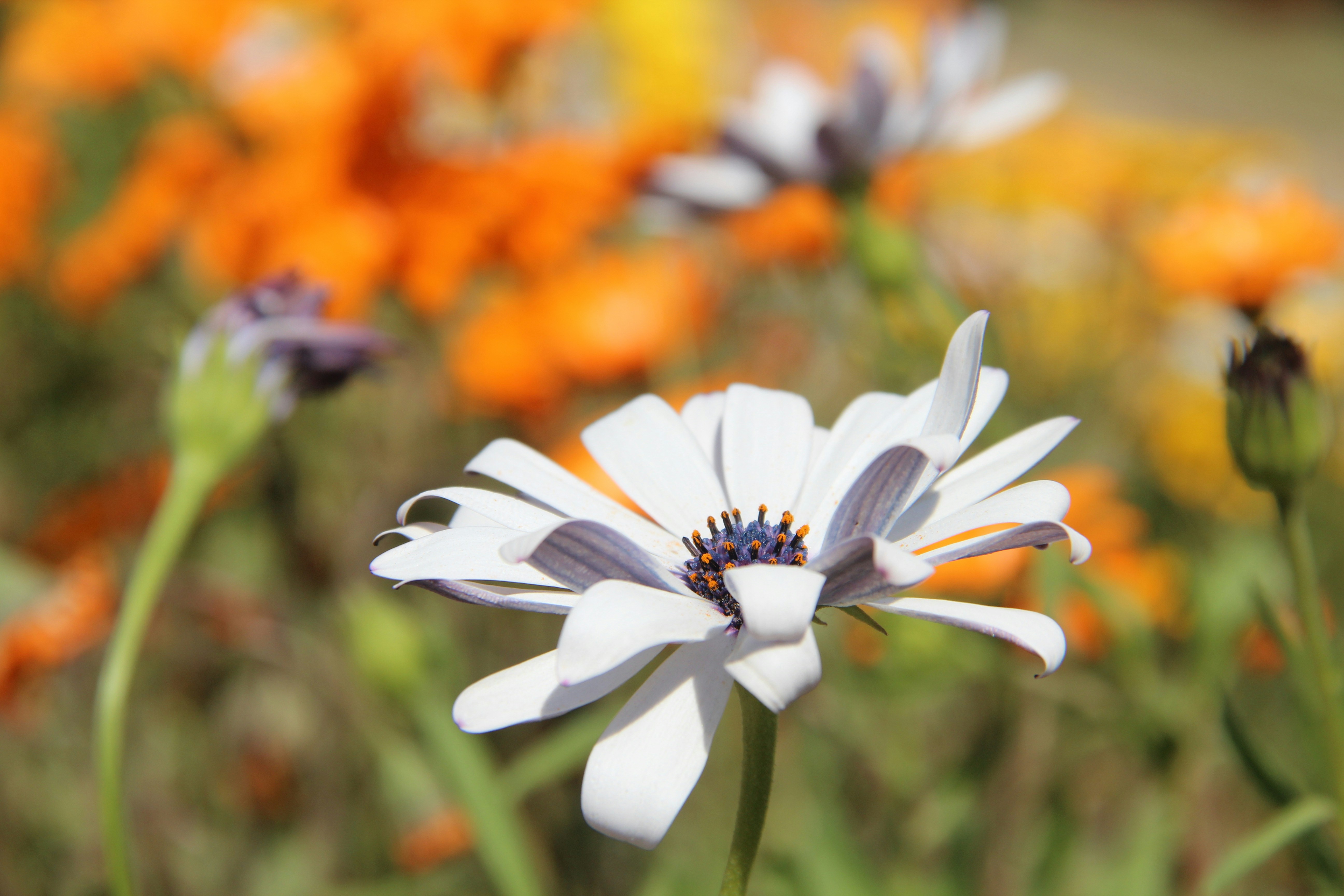 Photo by freerunner01