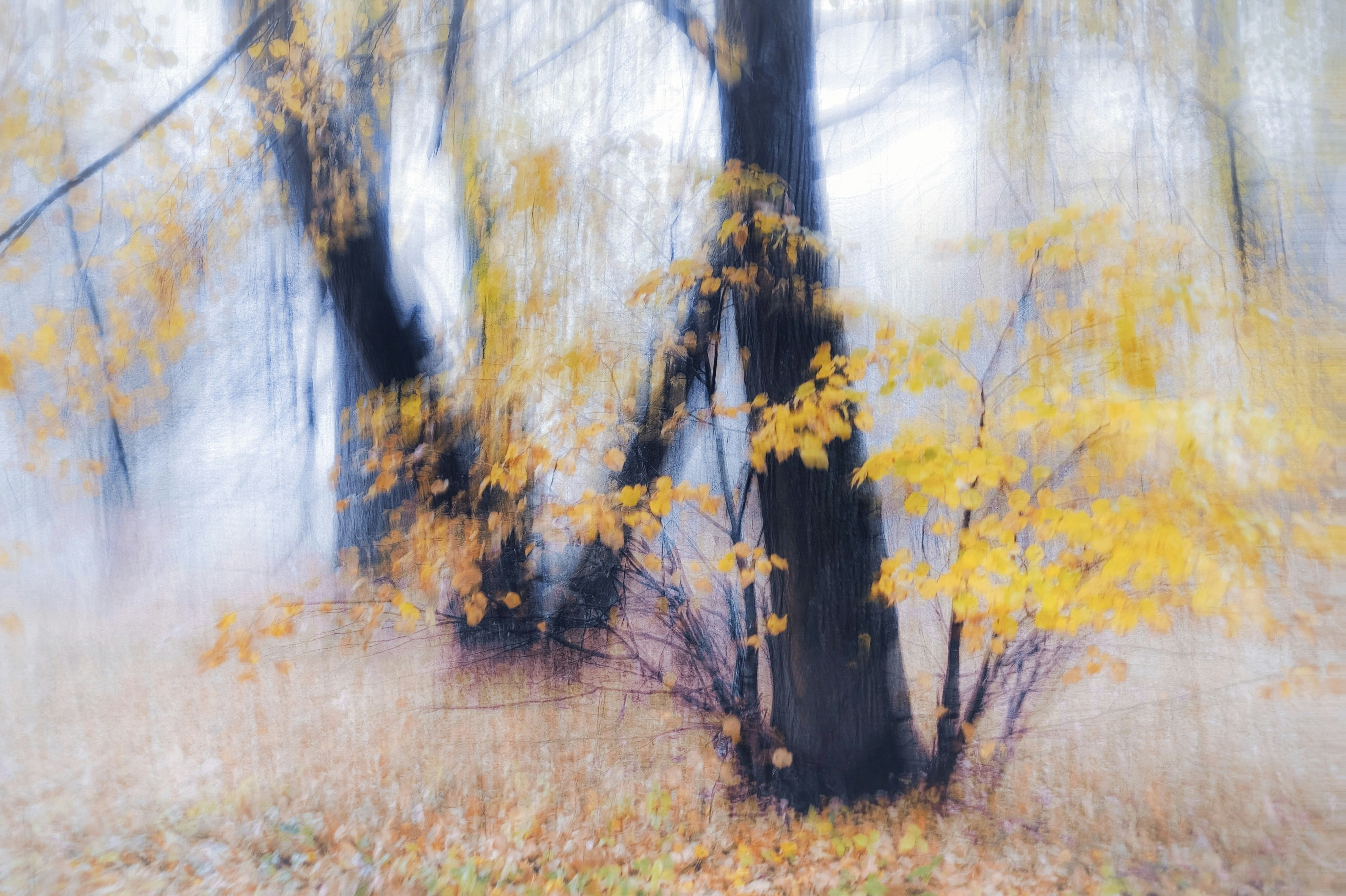 Photo by eugene_golovesov