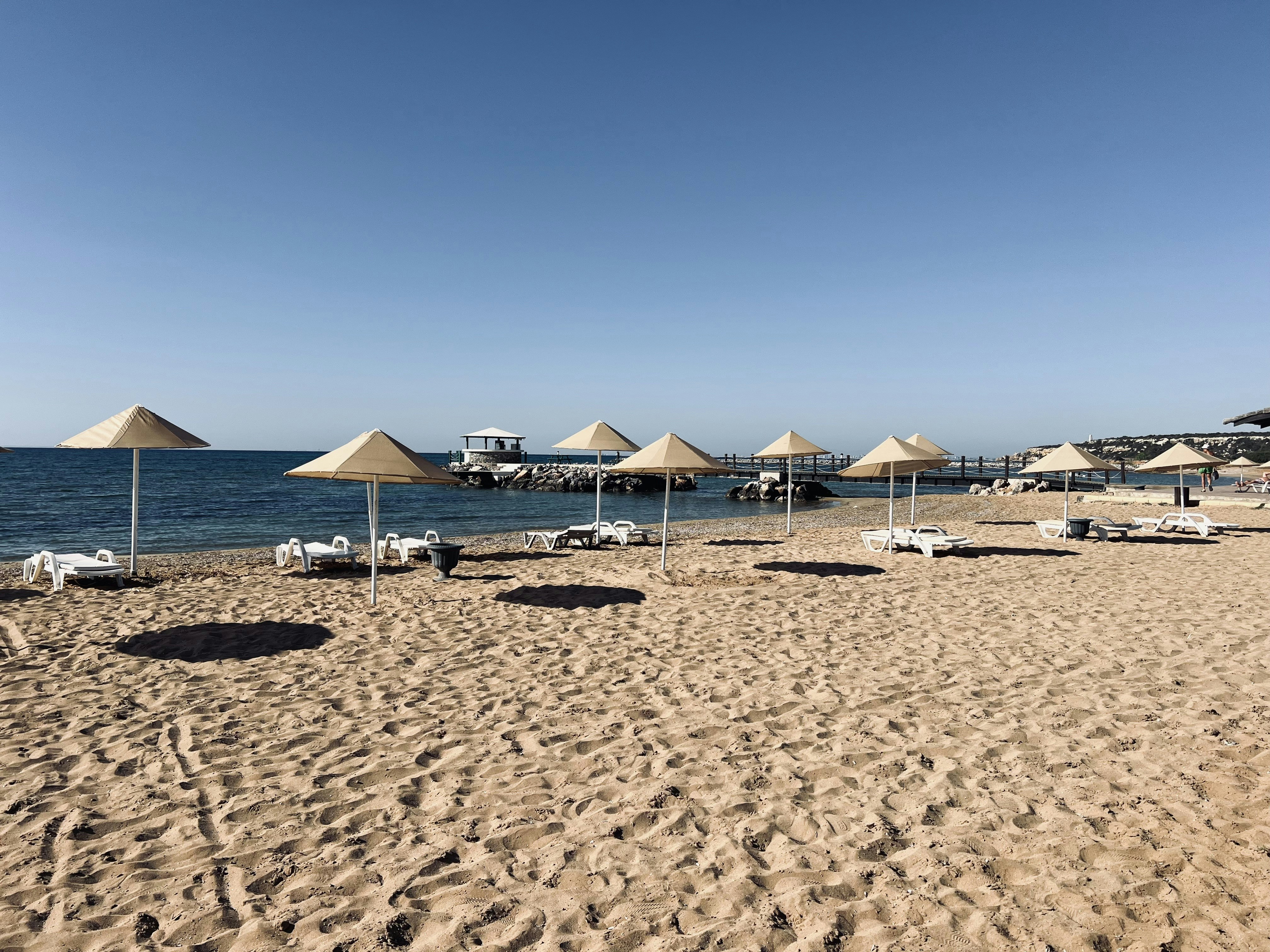 Photo by meisam_saeb