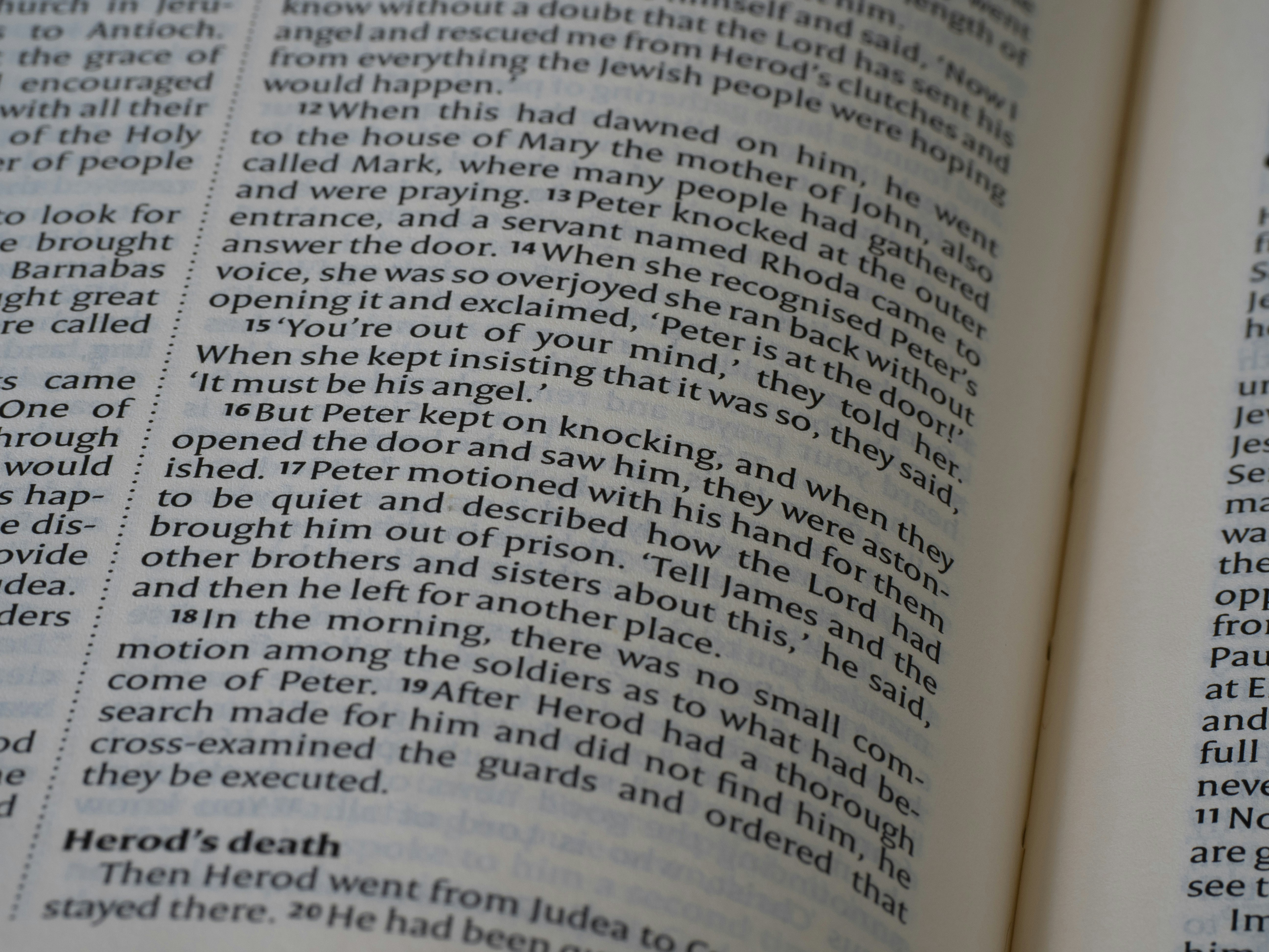 Photo by brett_jordan