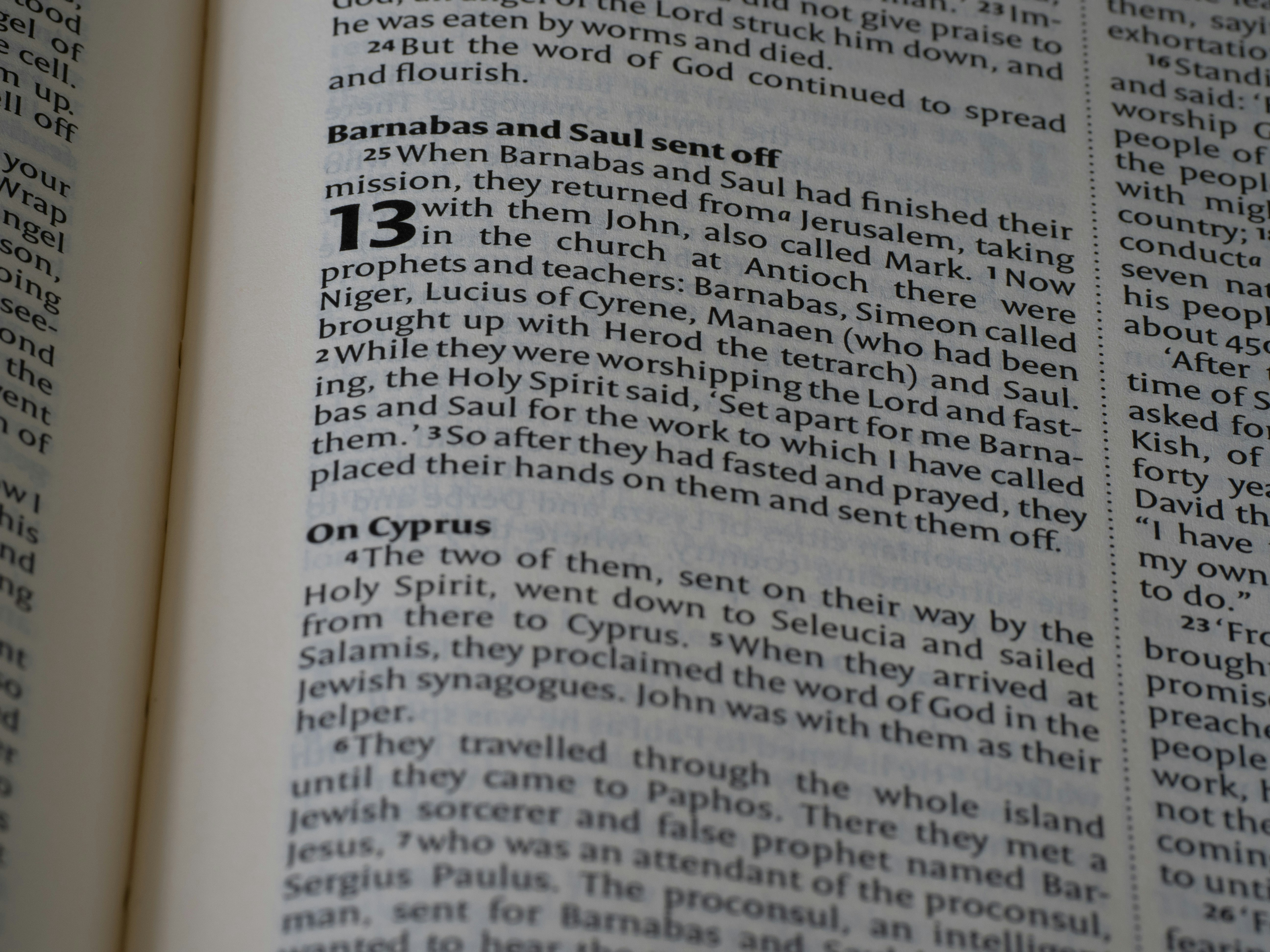 Espinheira-Santa: O Segredo Natural para um Estômago Saudável