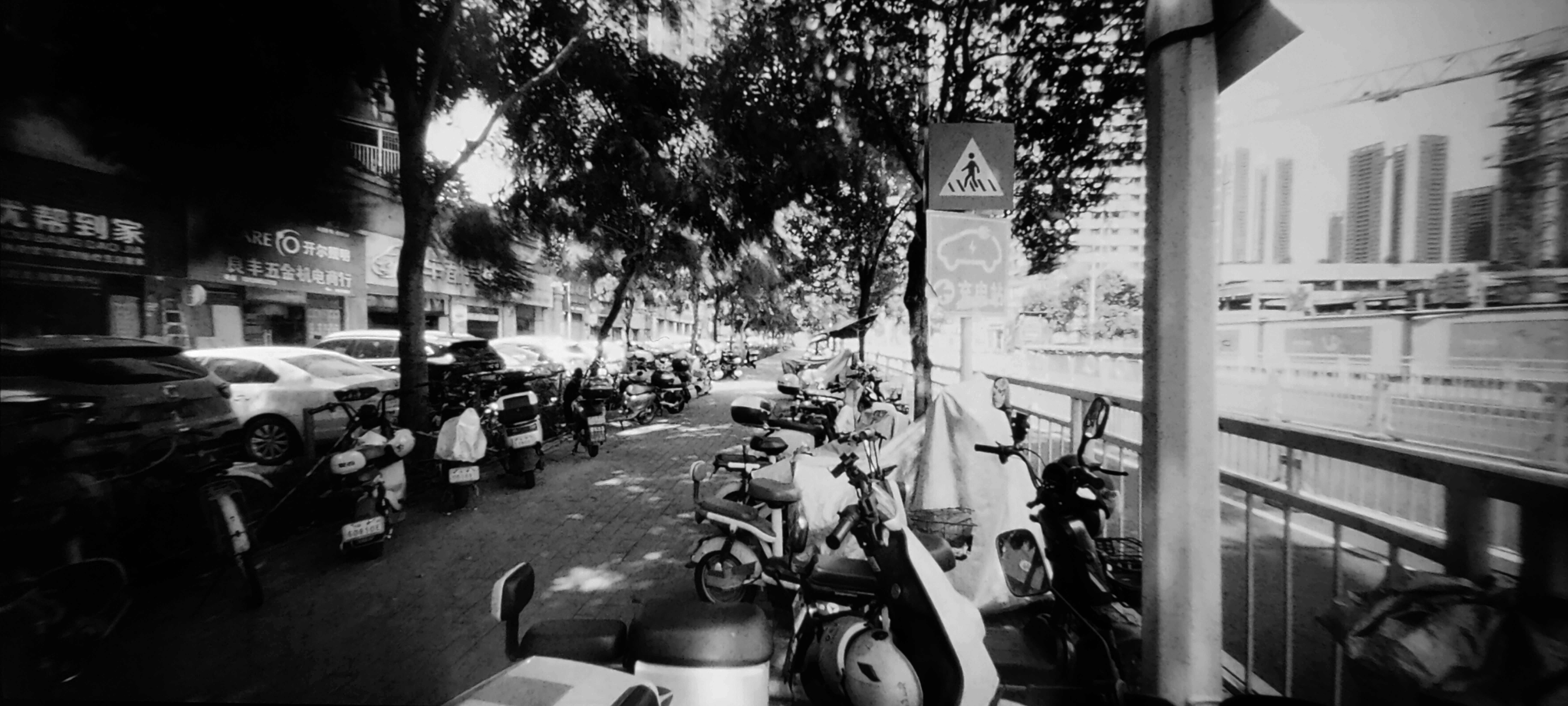 Photo by greedwolf97