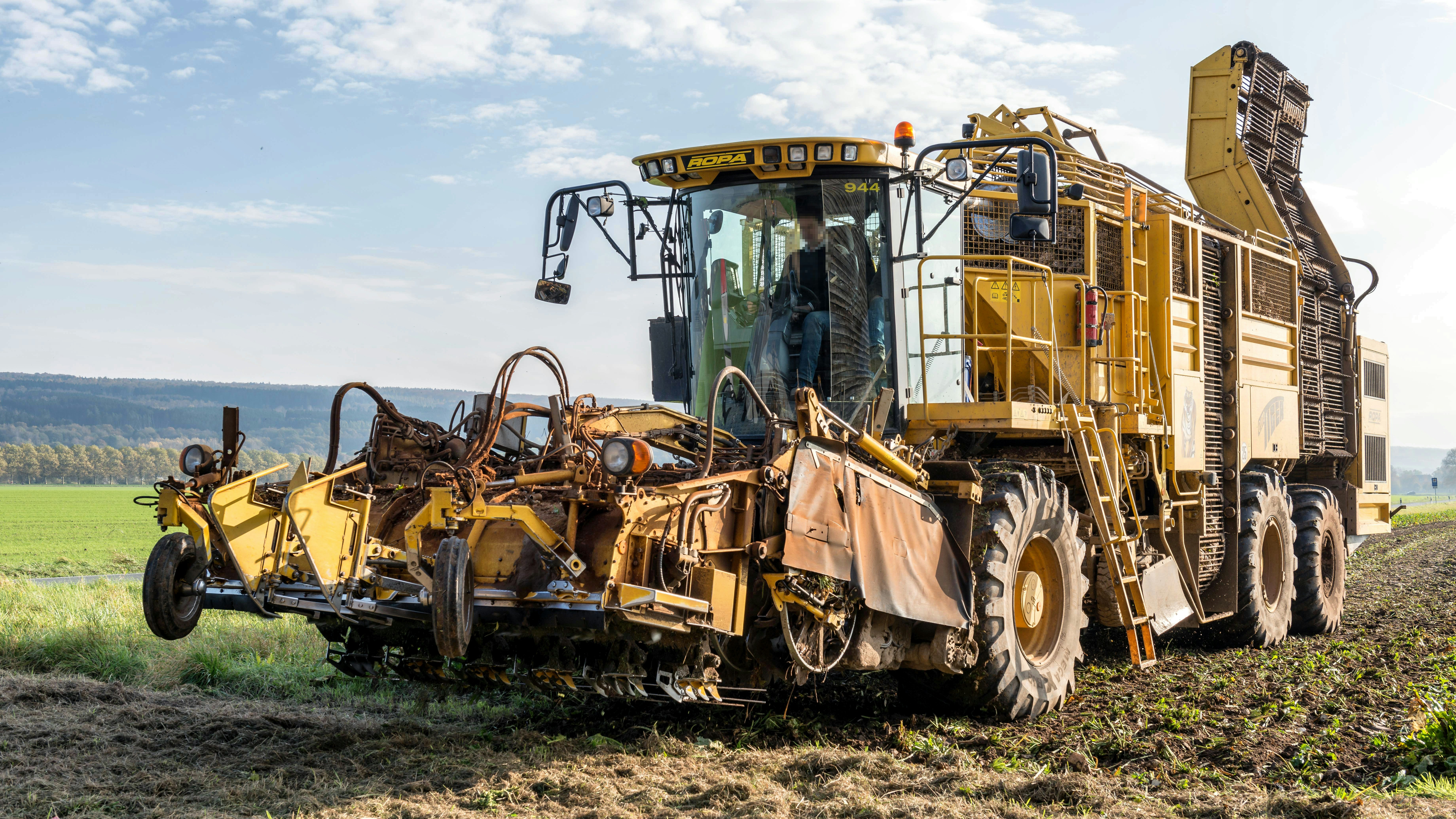 Photo by hamburgmeinefreundin