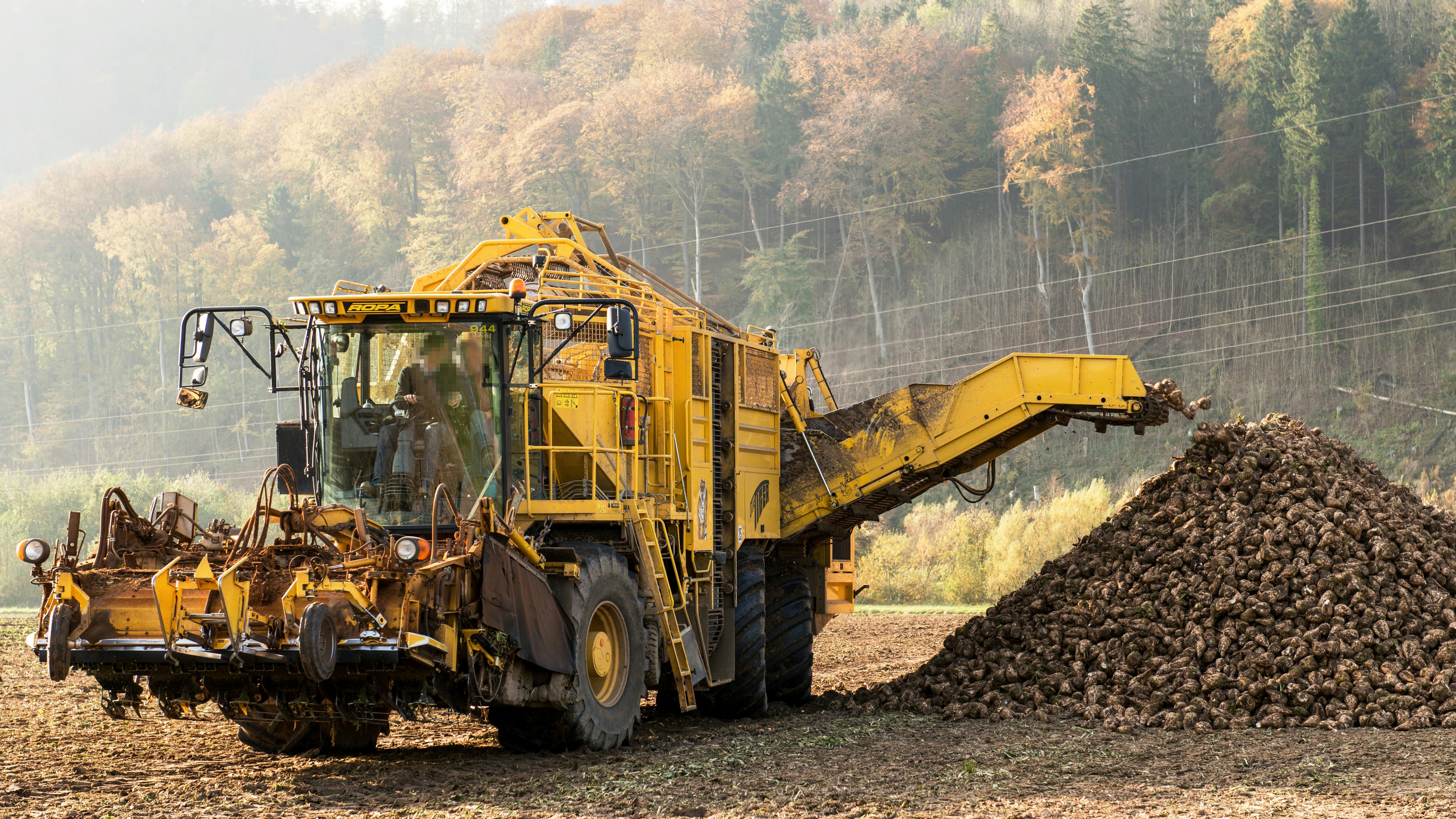 Photo by hamburgmeinefreundin