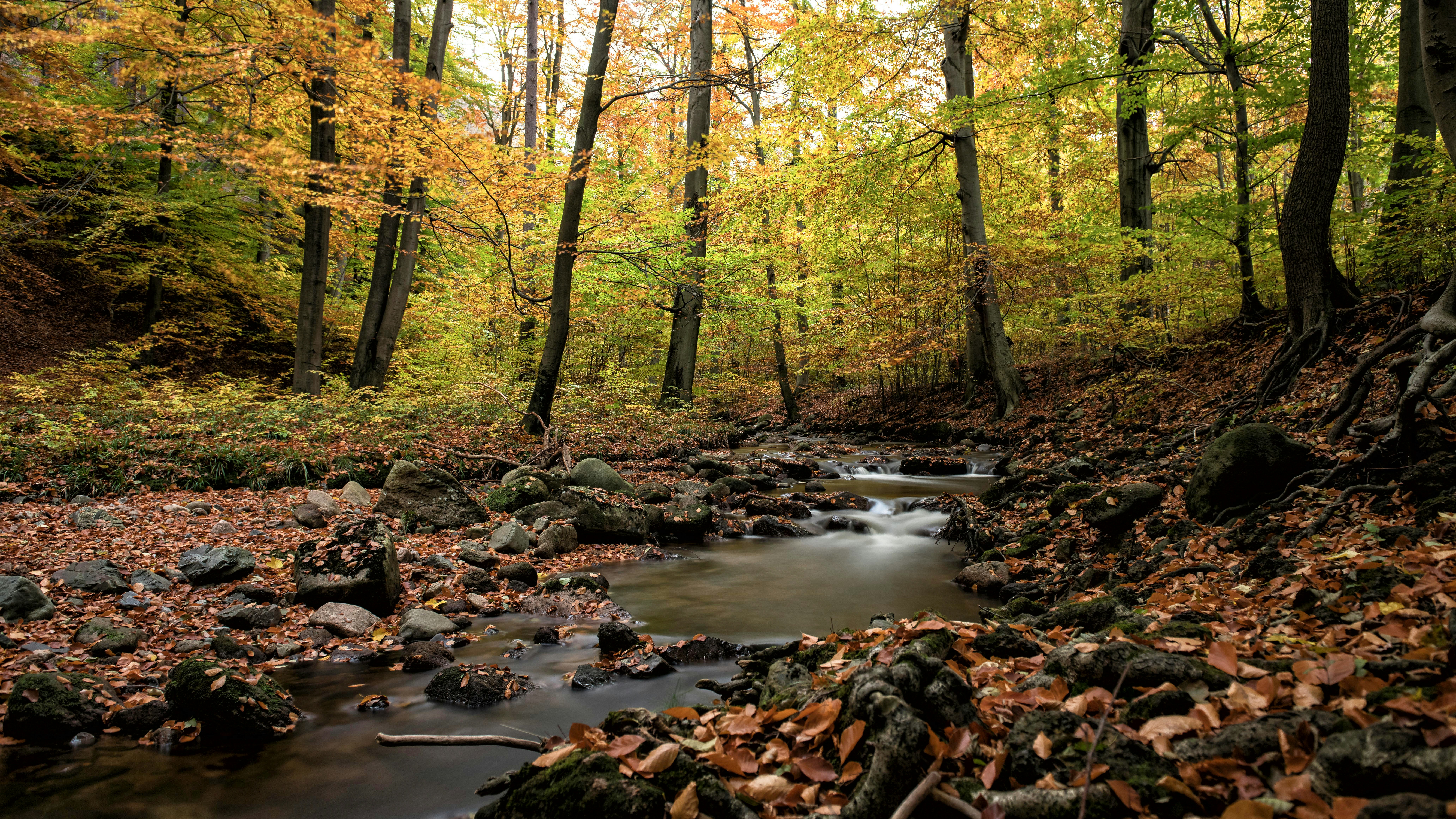 Photo by hamburgmeinefreundin