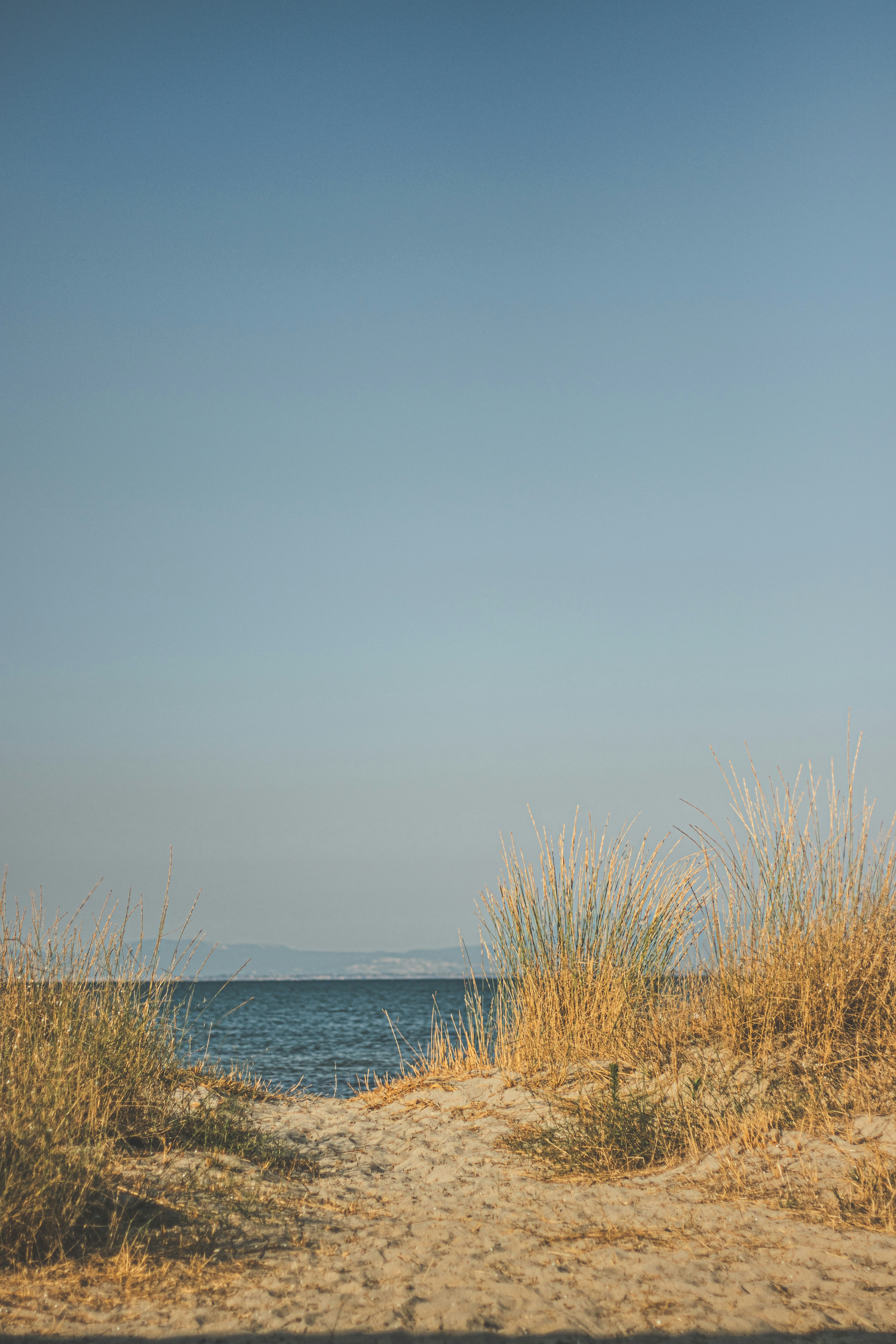 Photo by kattavonben