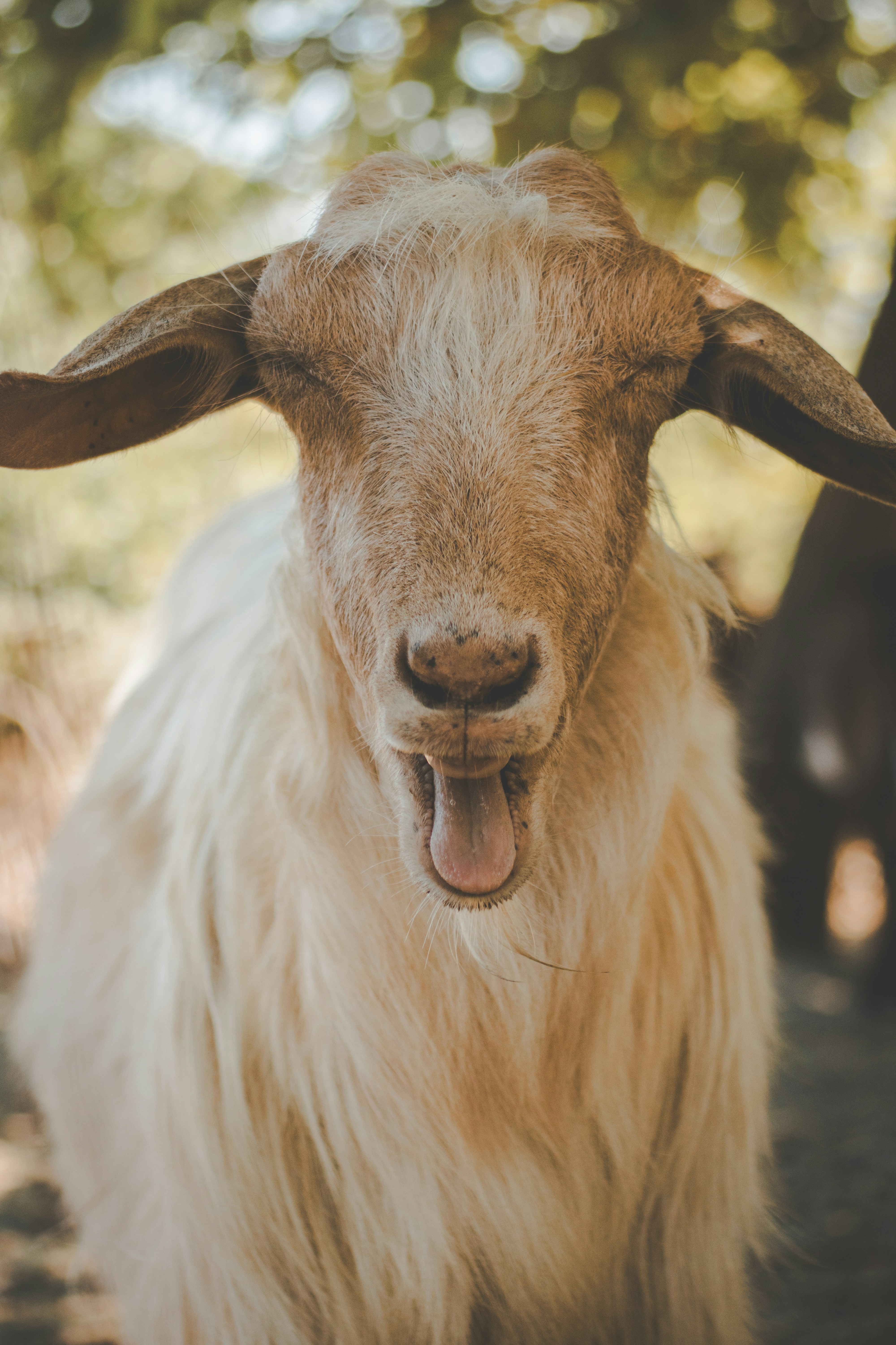 Photo by kattavonben