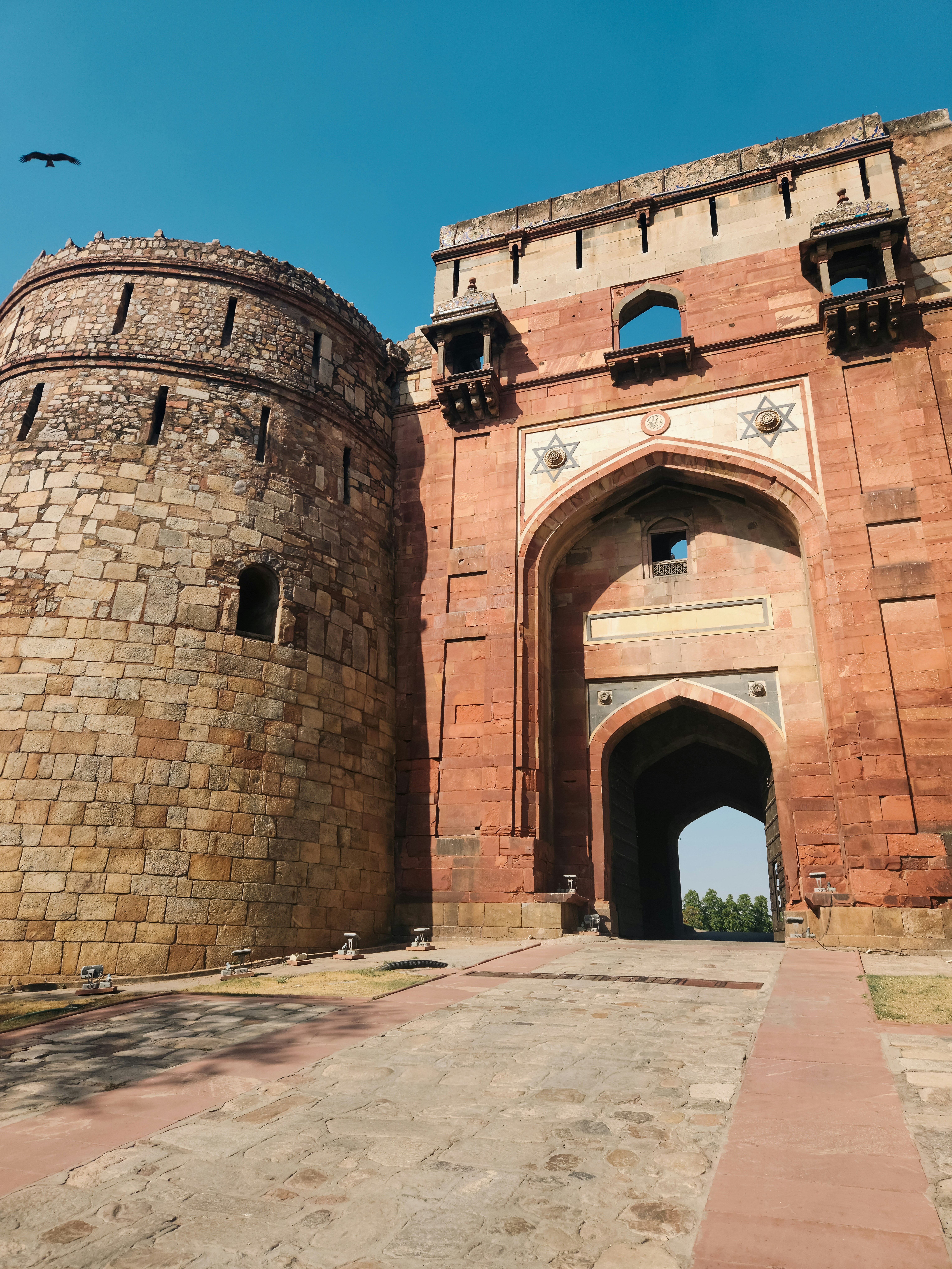 Photo by zoshuacolah