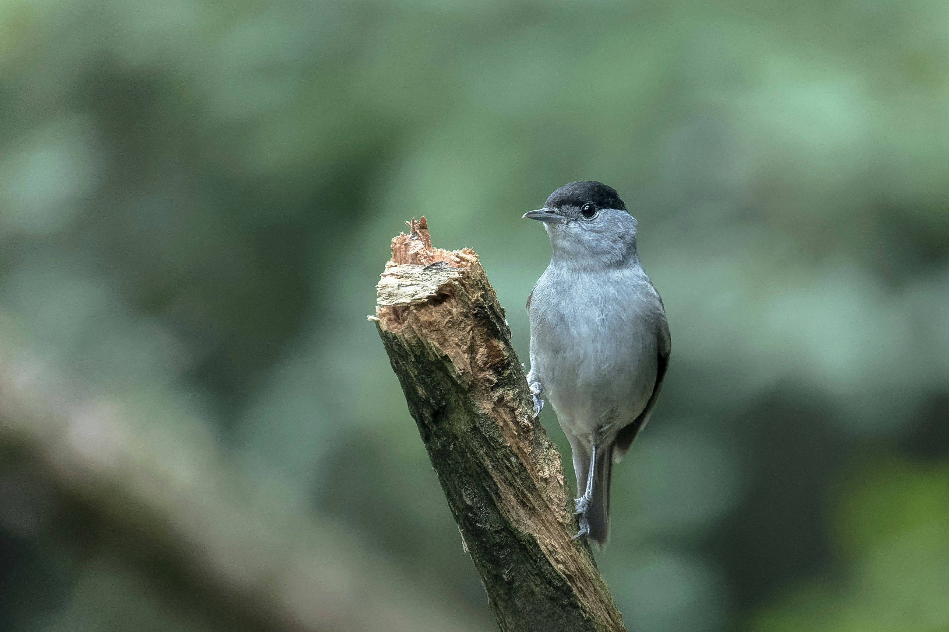 Afbeelding van Lemelerveld