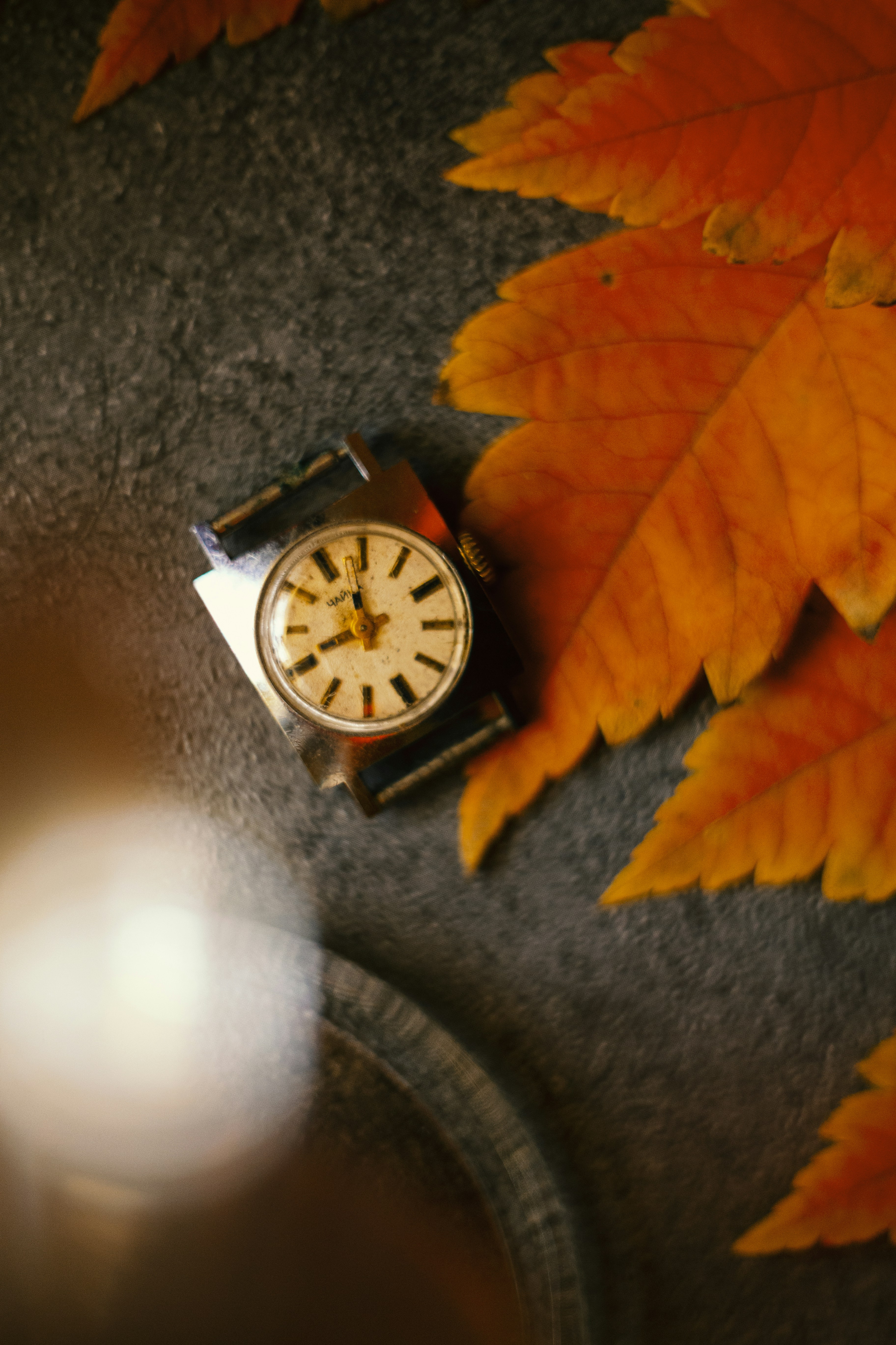A small clock sitting on top of a table next to a leaf
