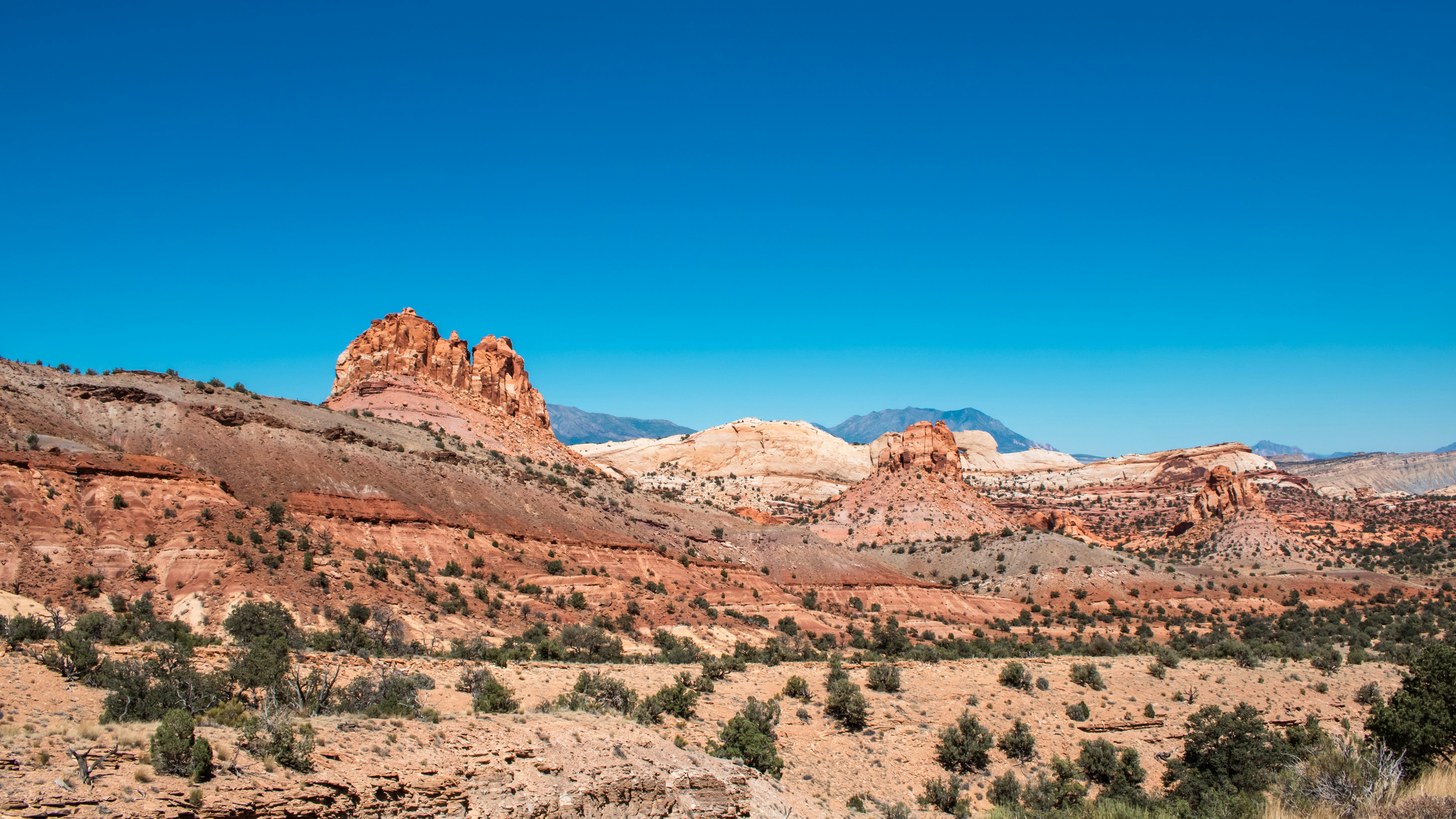 Photo by zoshuacolah