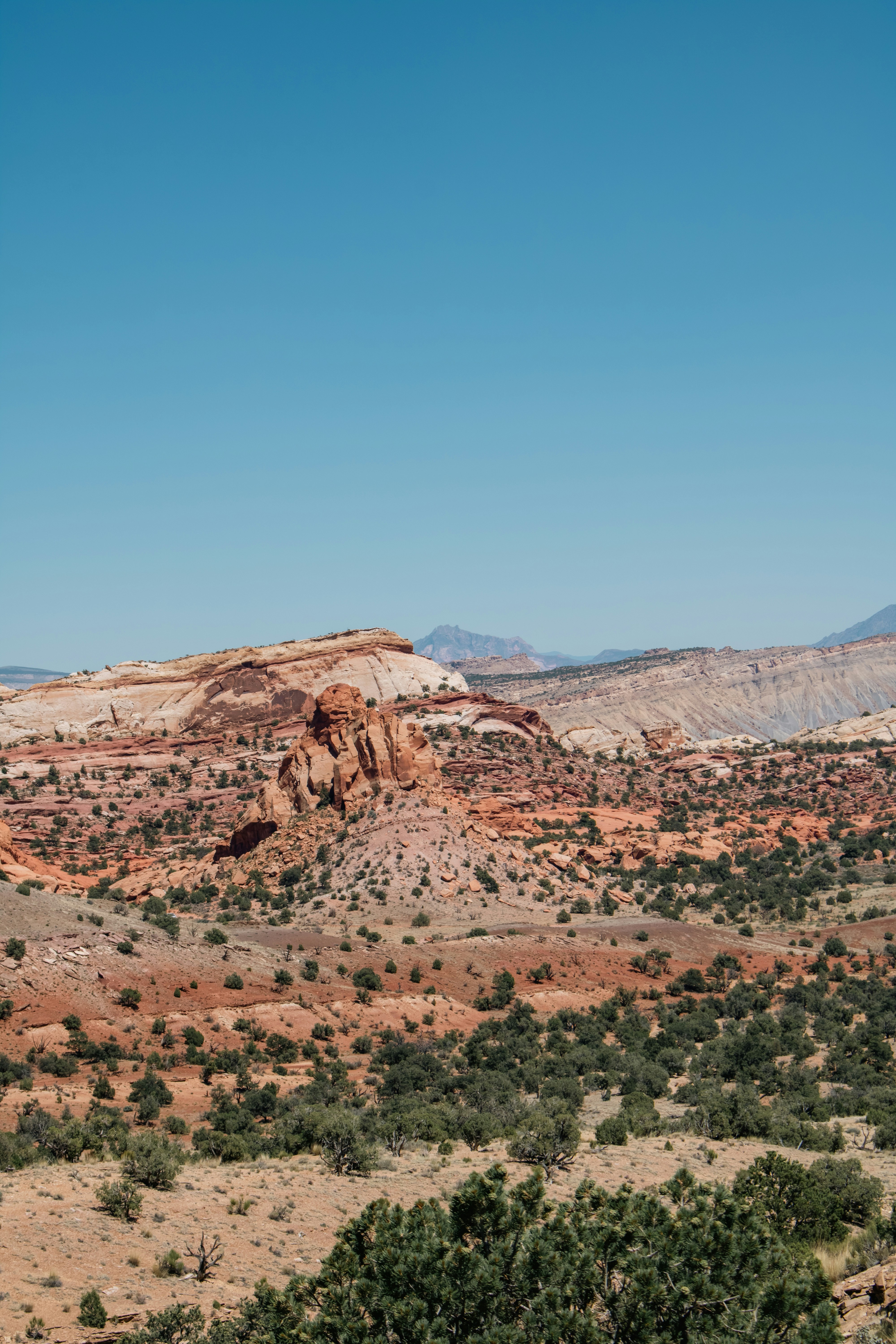 Photo by zoshuacolah