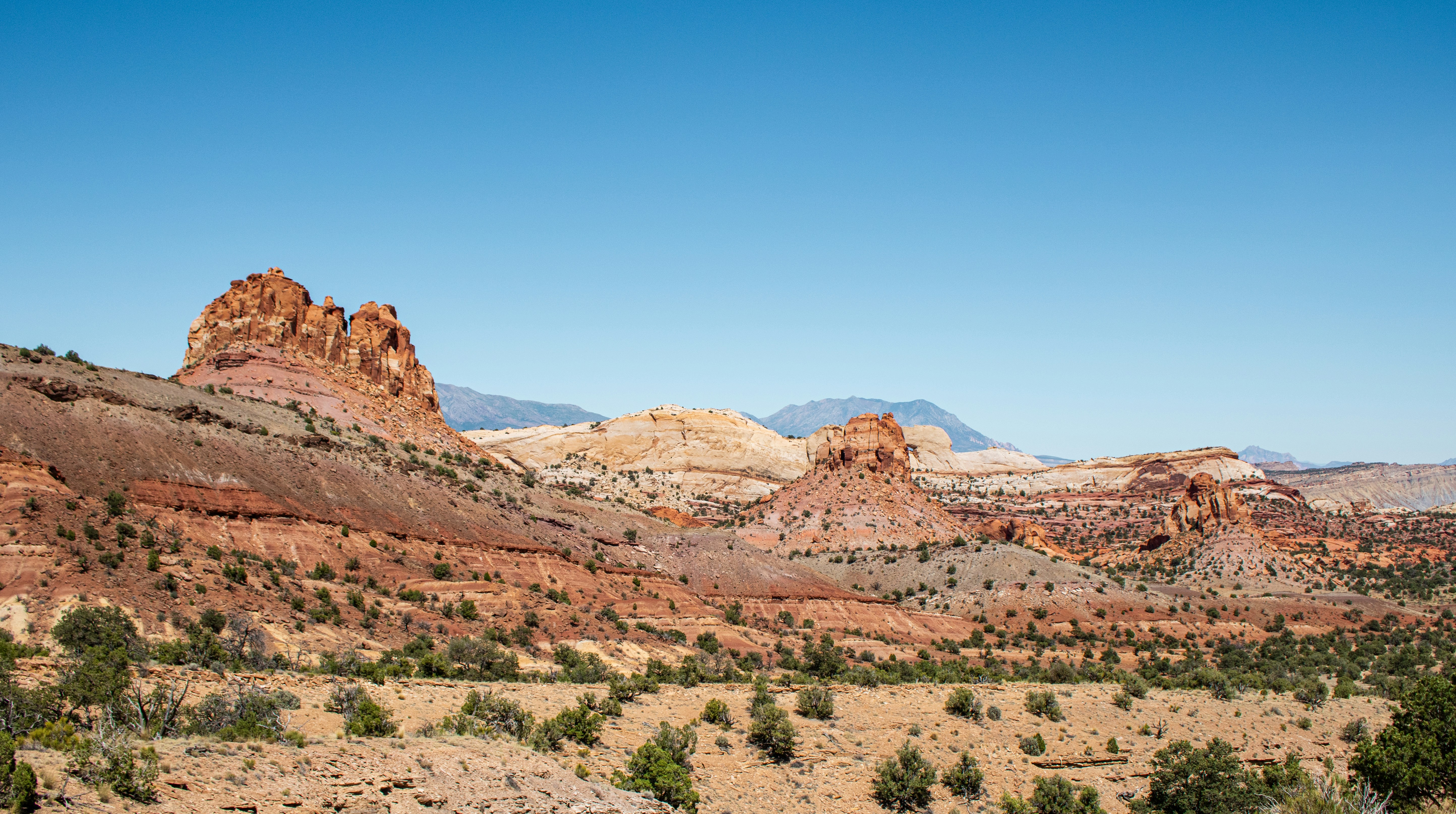 Photo by zoshuacolah