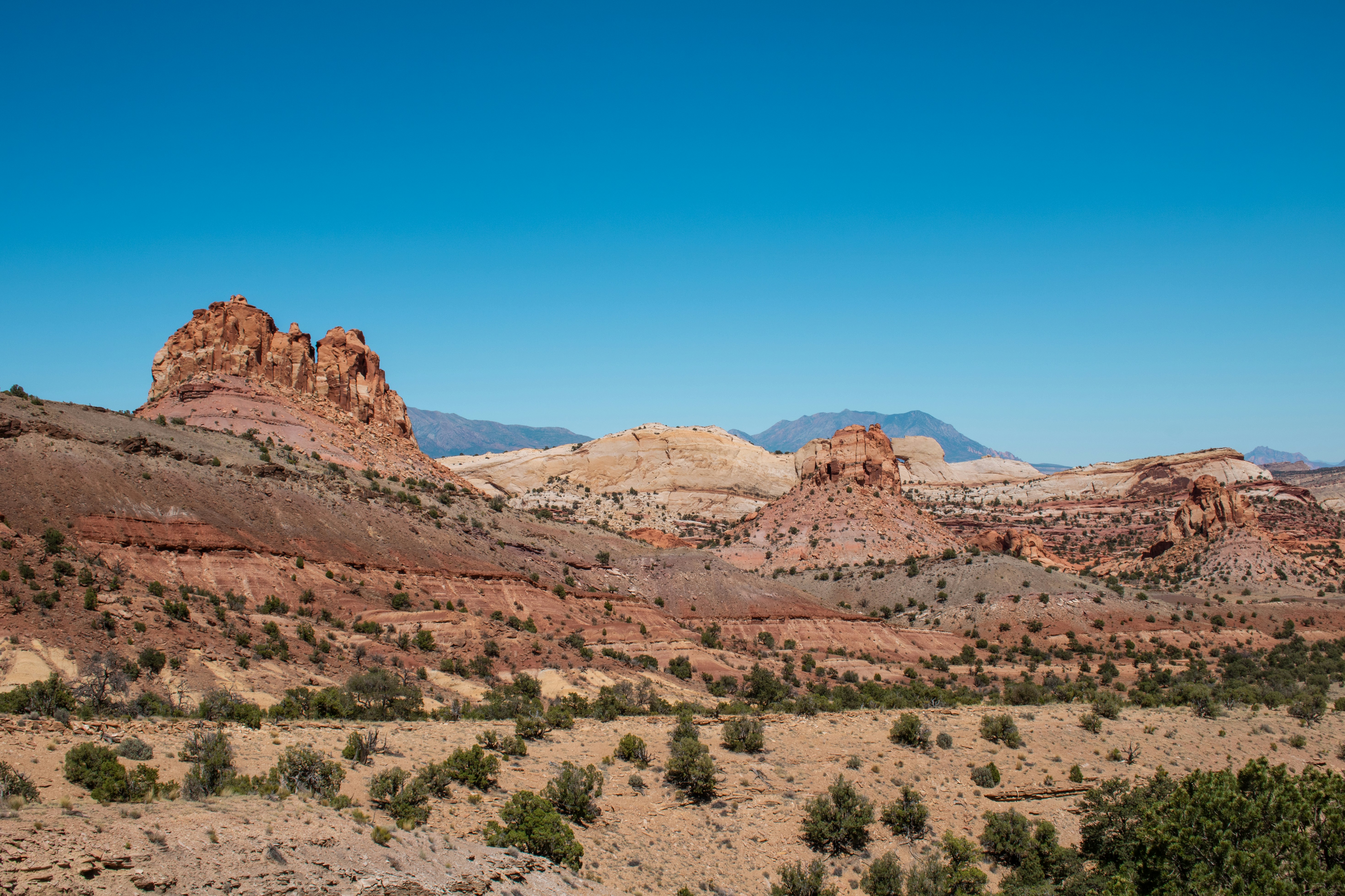 Photo by zoshuacolah