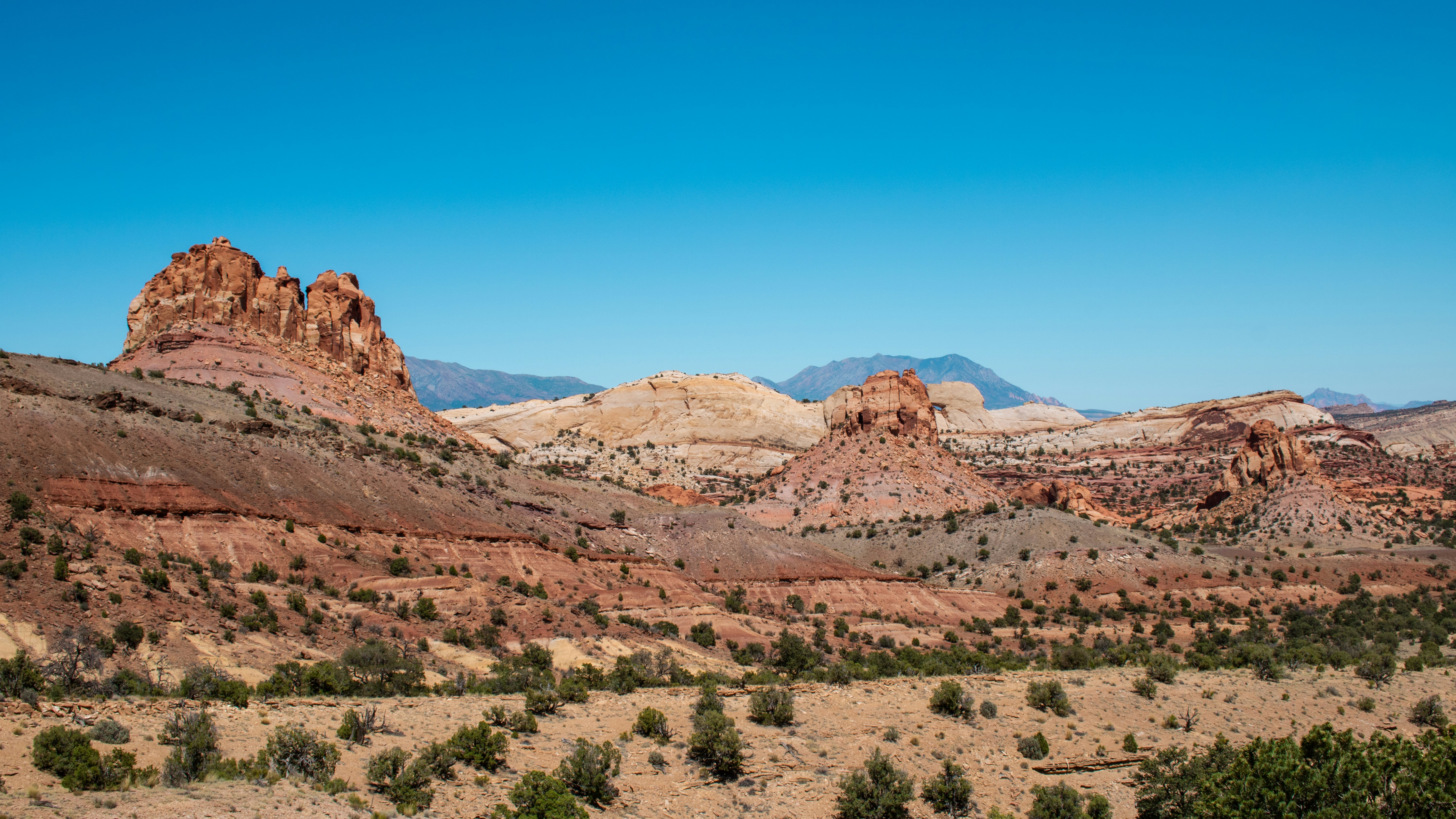 Photo by zoshuacolah