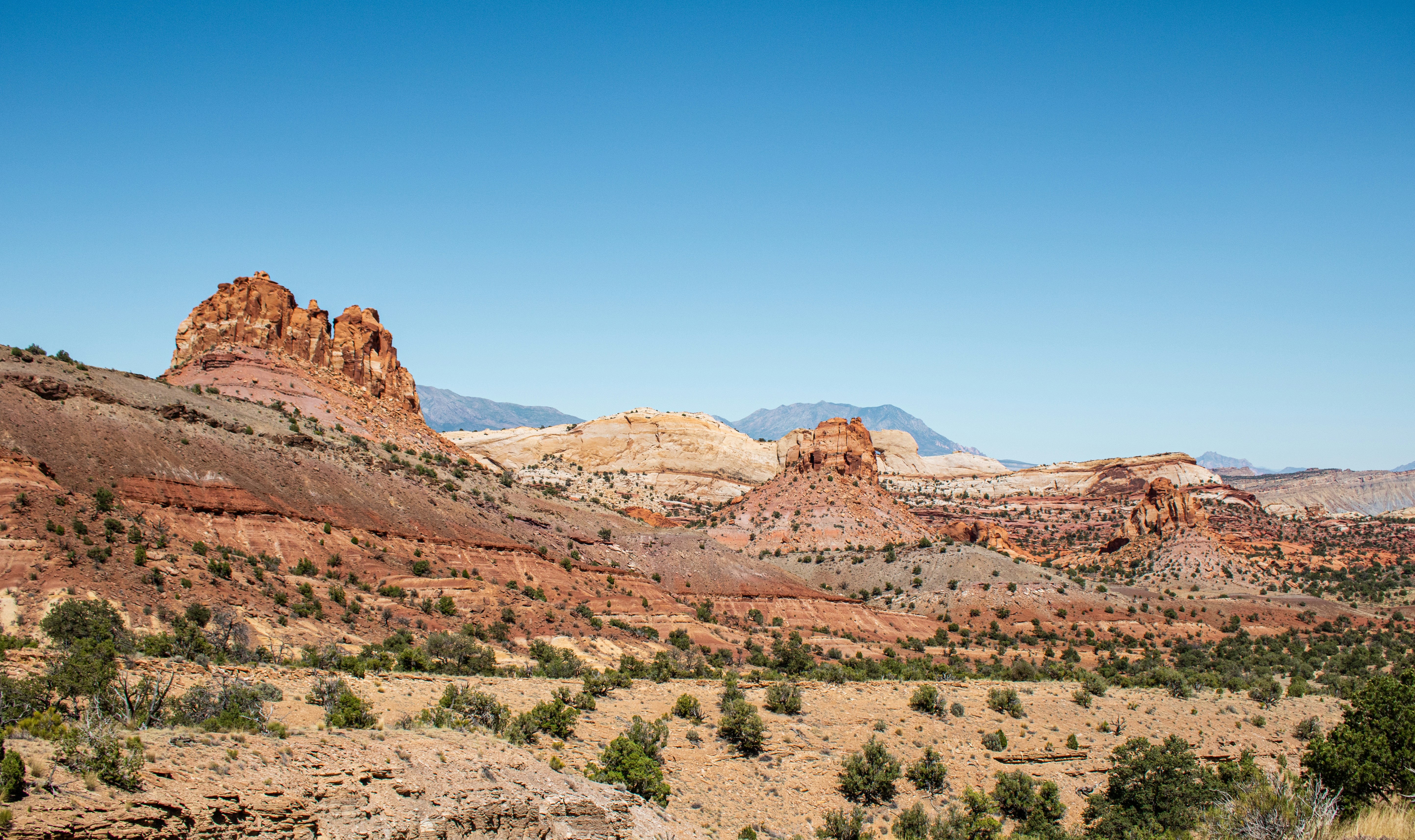 Photo by zoshuacolah