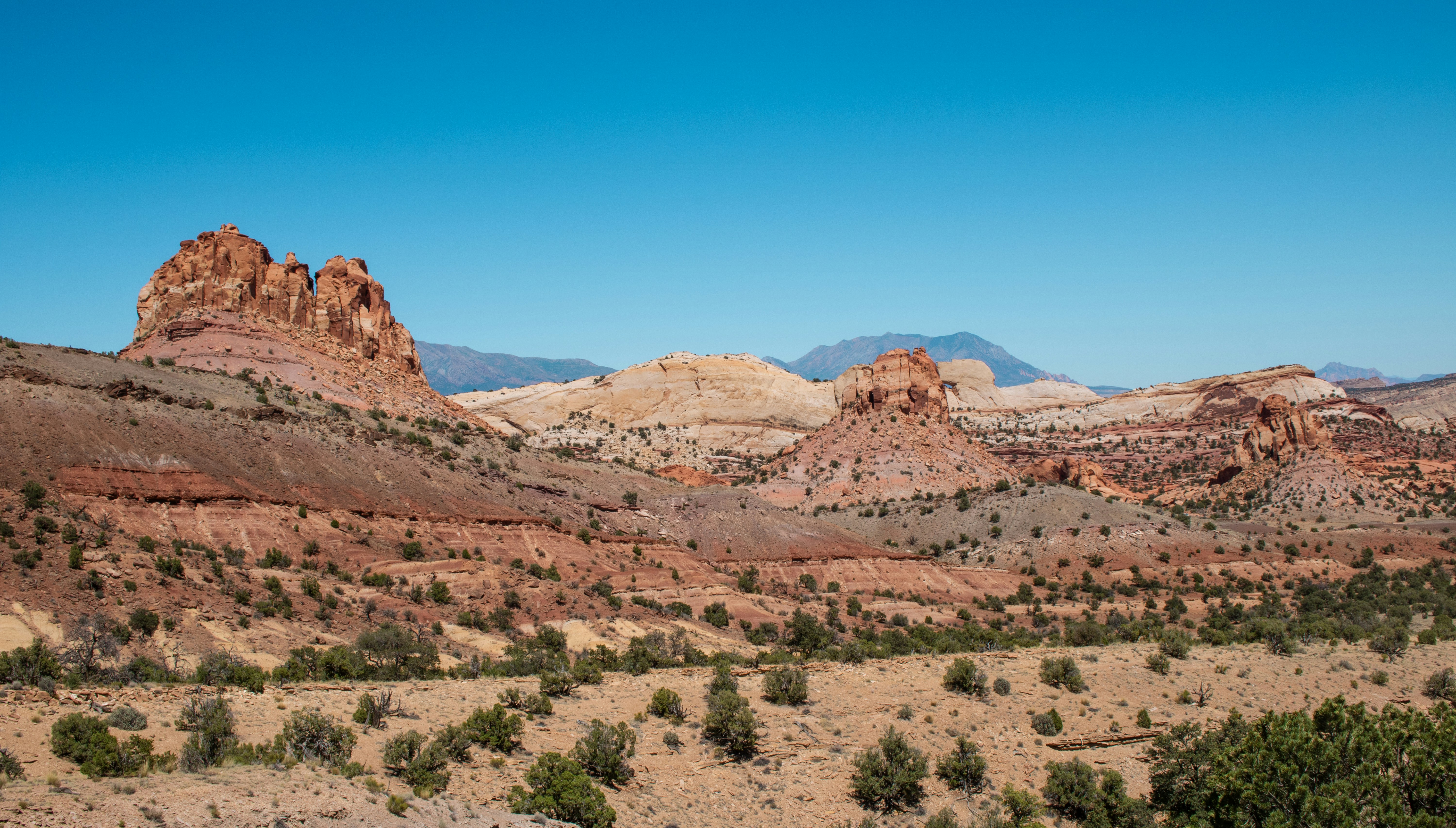 Photo by zoshuacolah