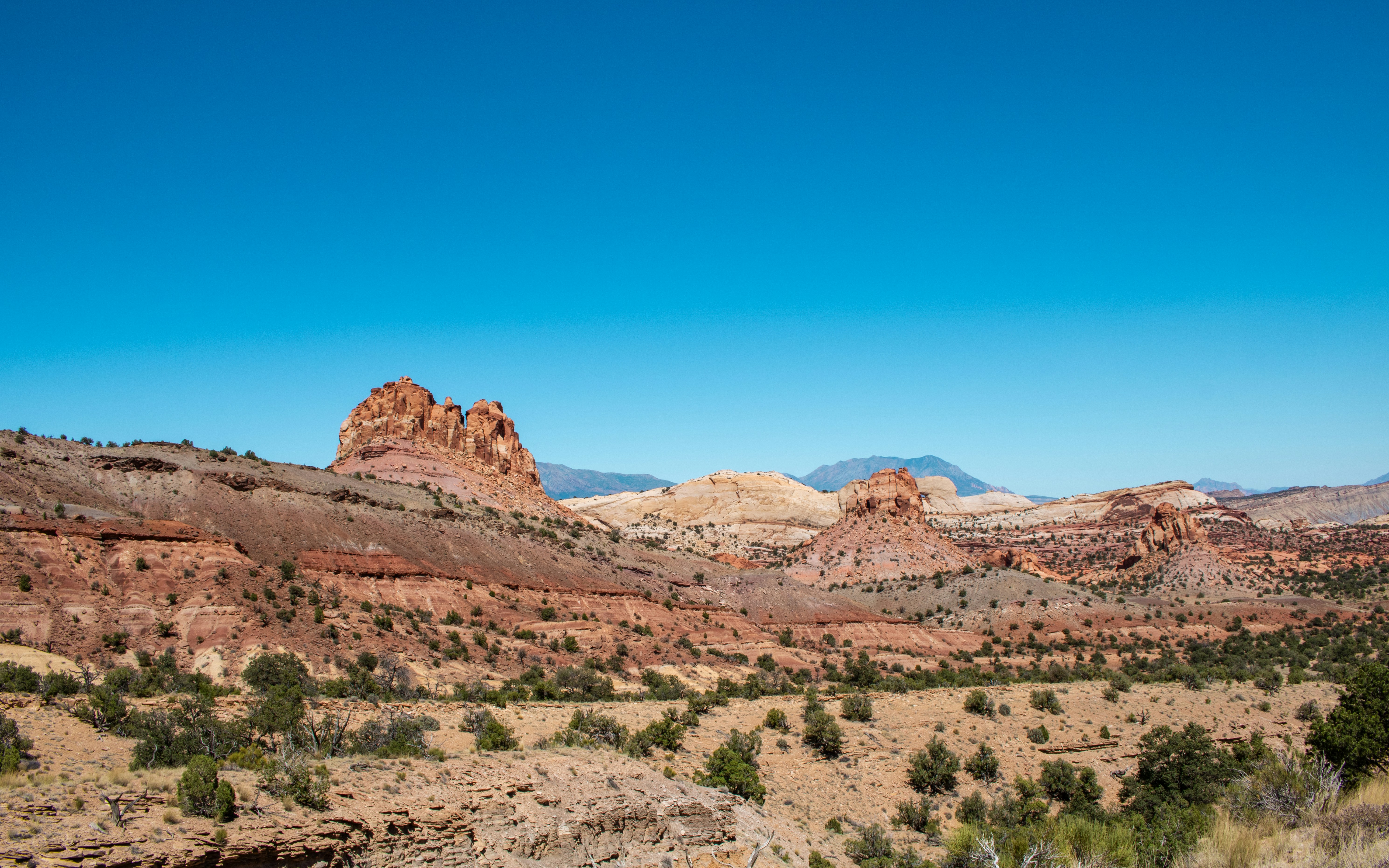 Photo by zoshuacolah