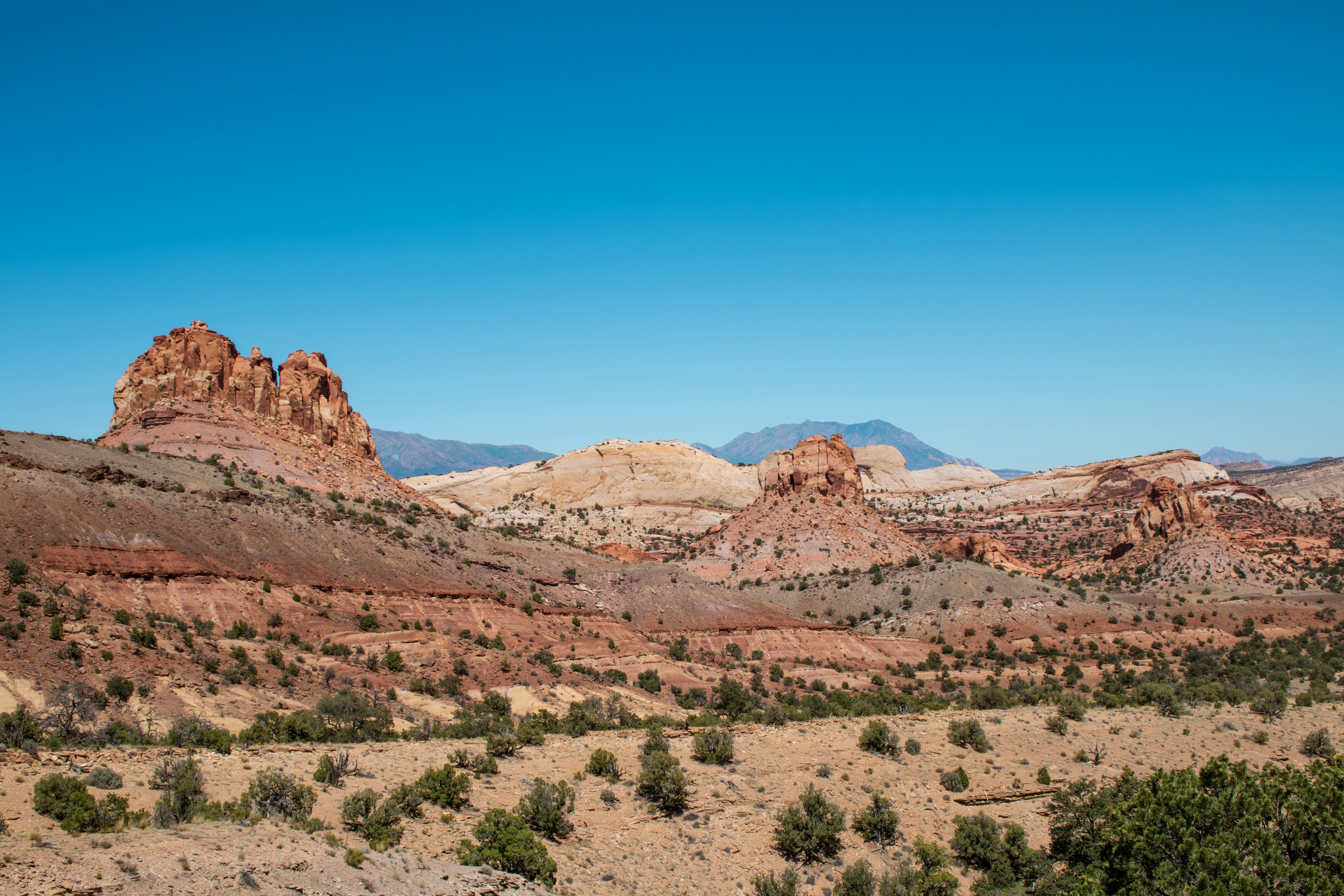 Photo by zoshuacolah