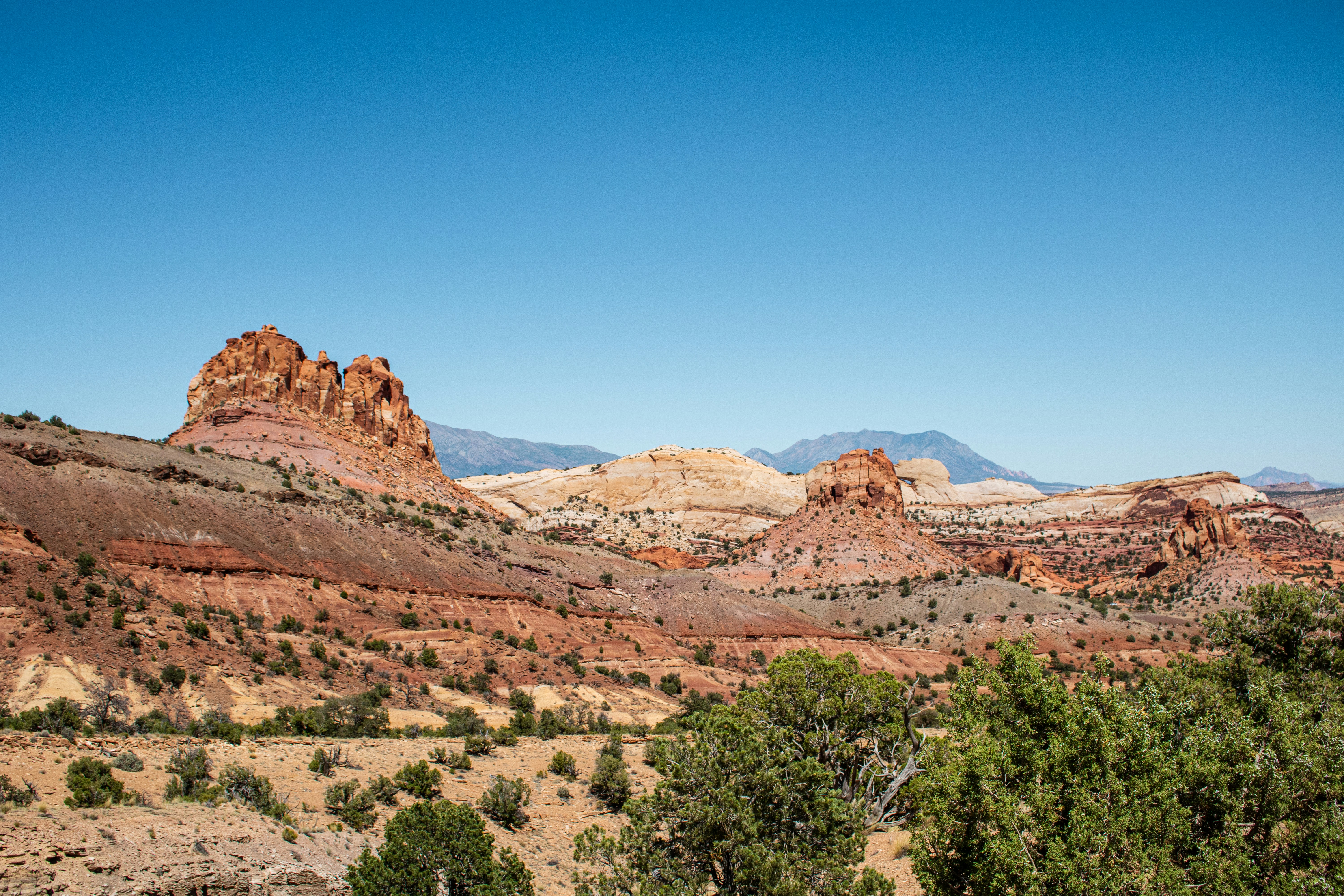 Photo by zoshuacolah