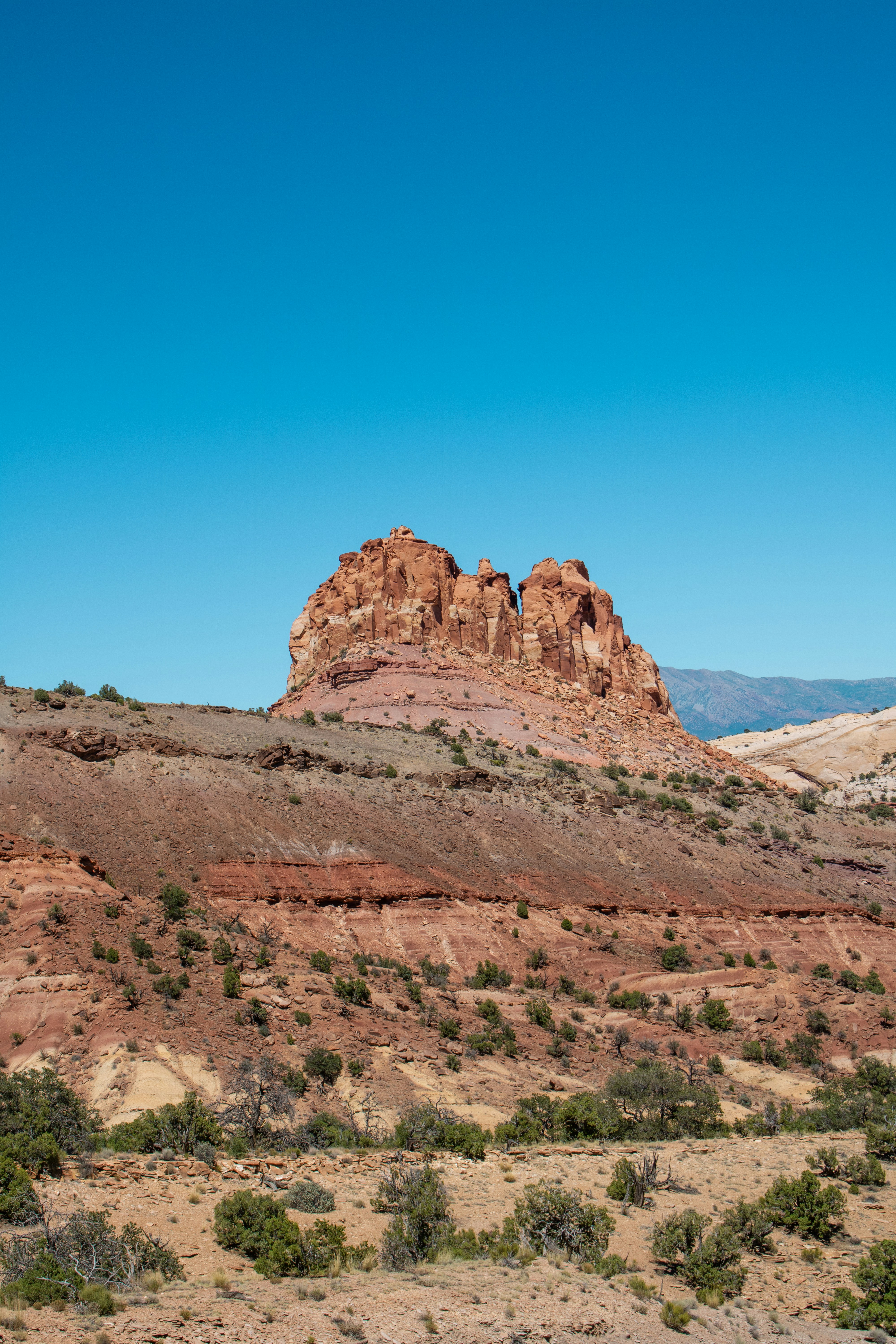 Photo by zoshuacolah