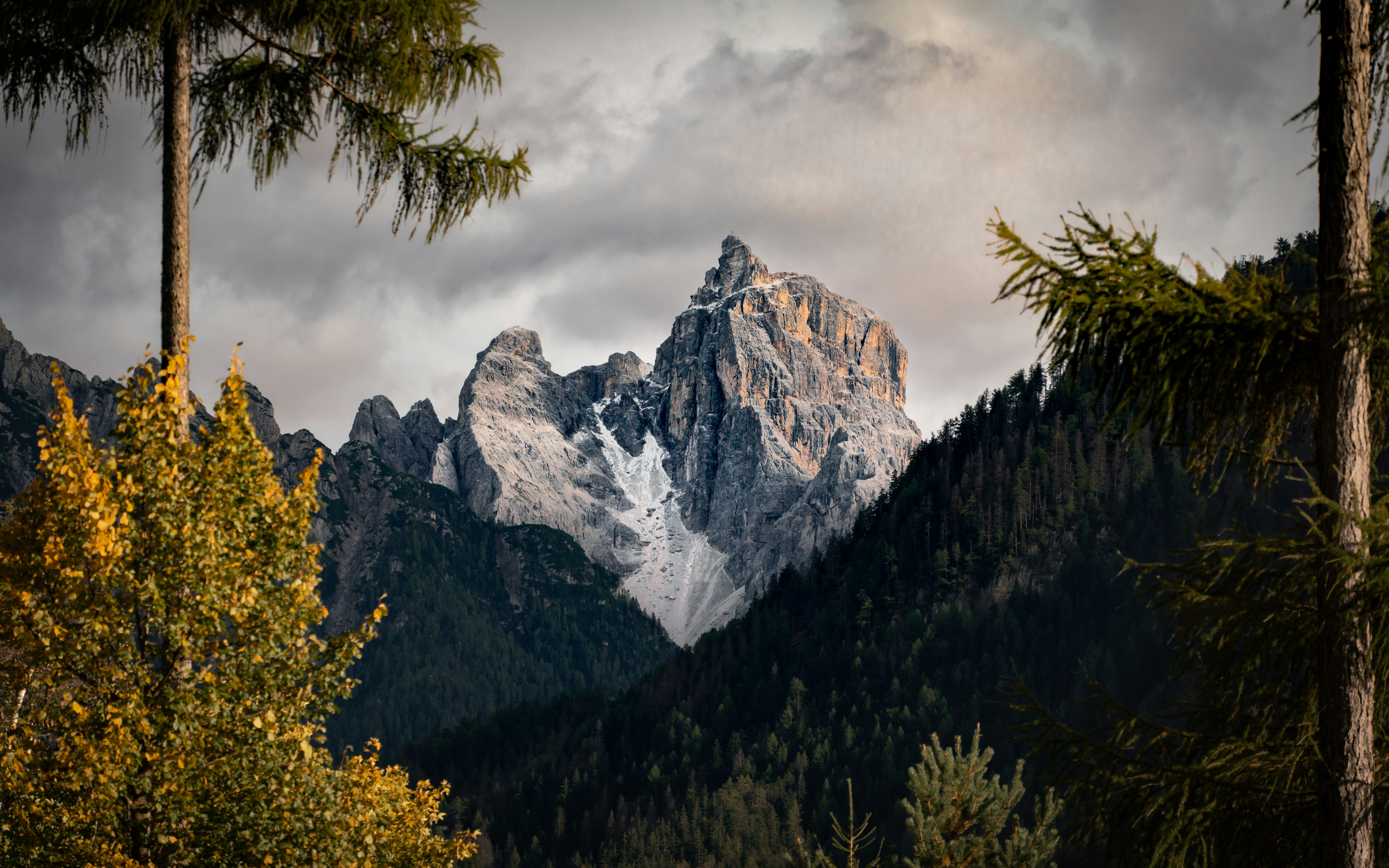 Photo by michaelfousert