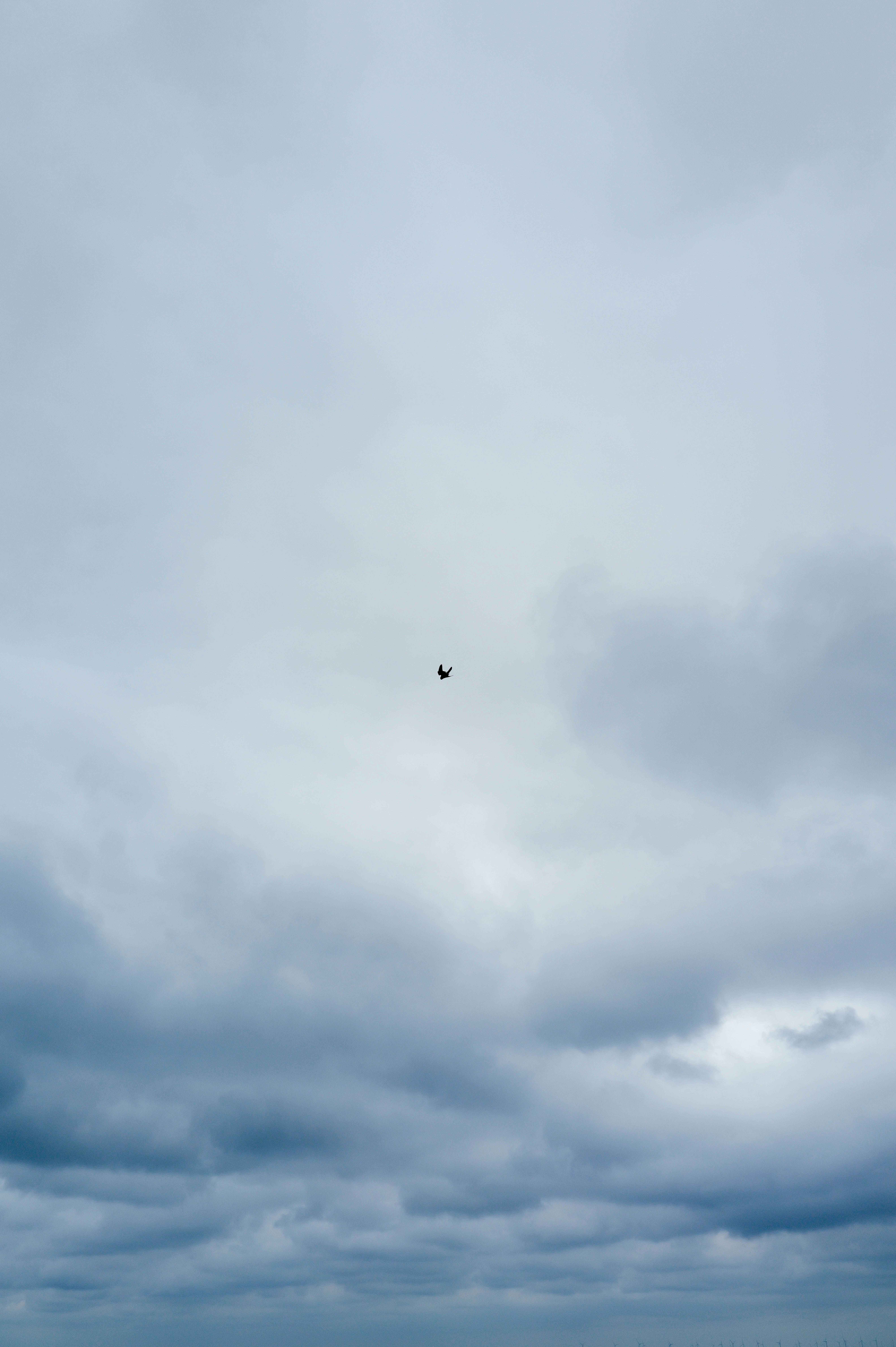 Photo by adrienolichon